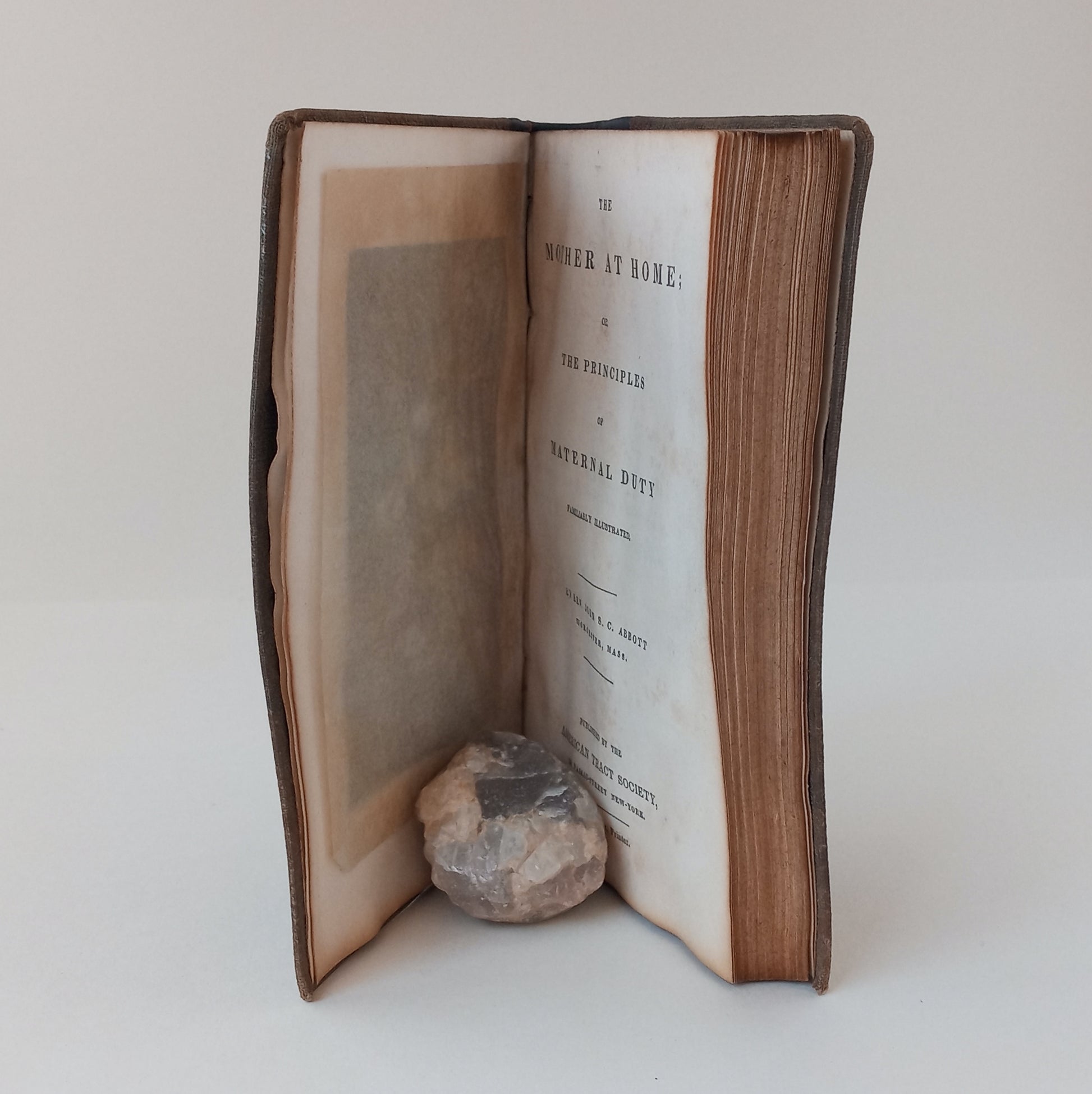 The Mother at Home, or the Principles of Maternal Duty book cover
