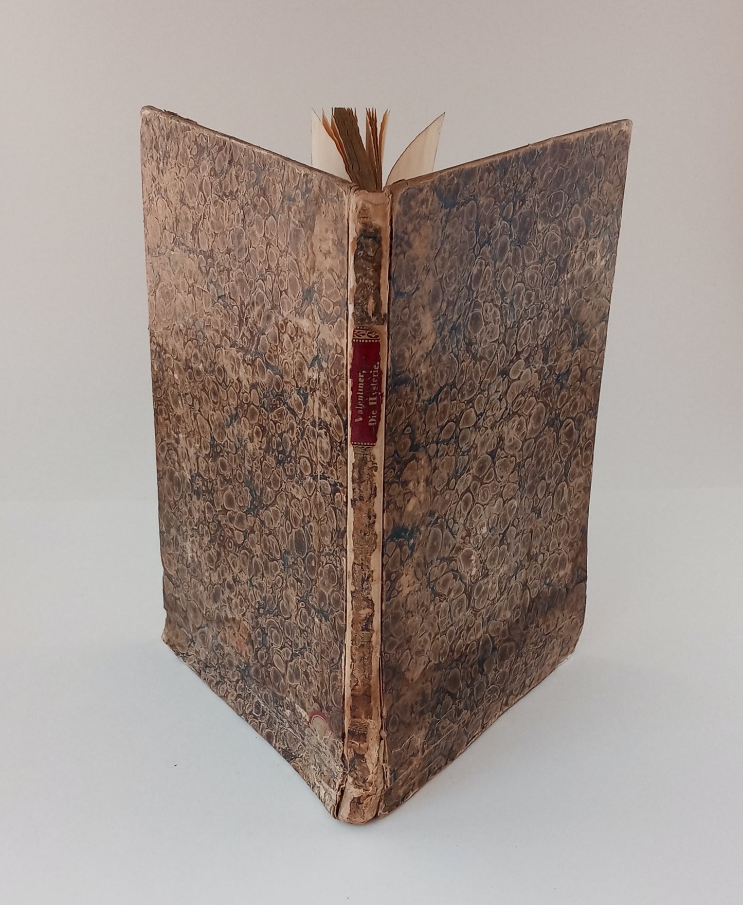 Die Hysterie und ihre Heilung book cover