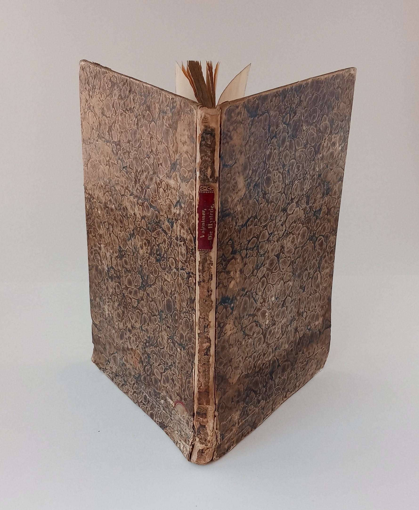 Die Hysterie und ihre Heilung book cover