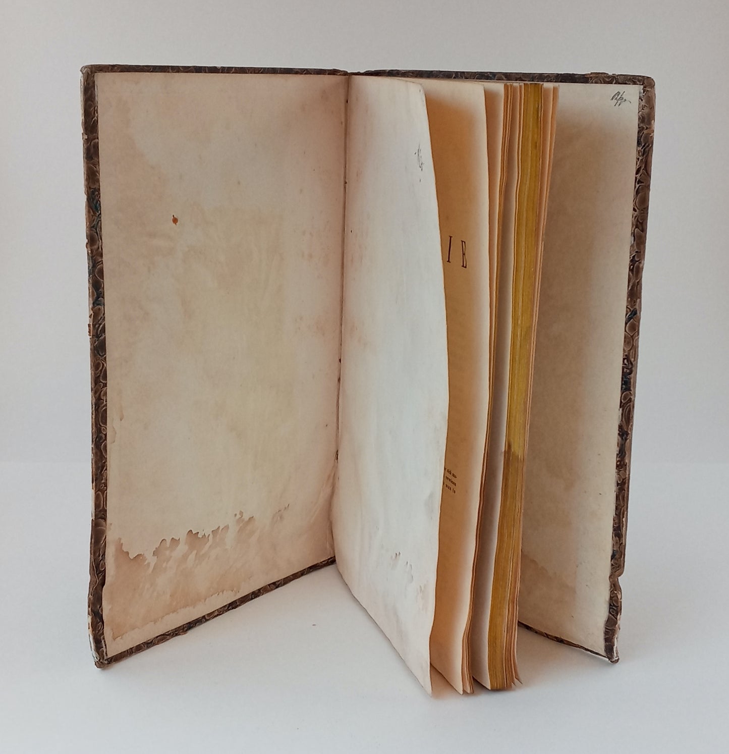 Die Hysterie und ihre Heilung book cover
