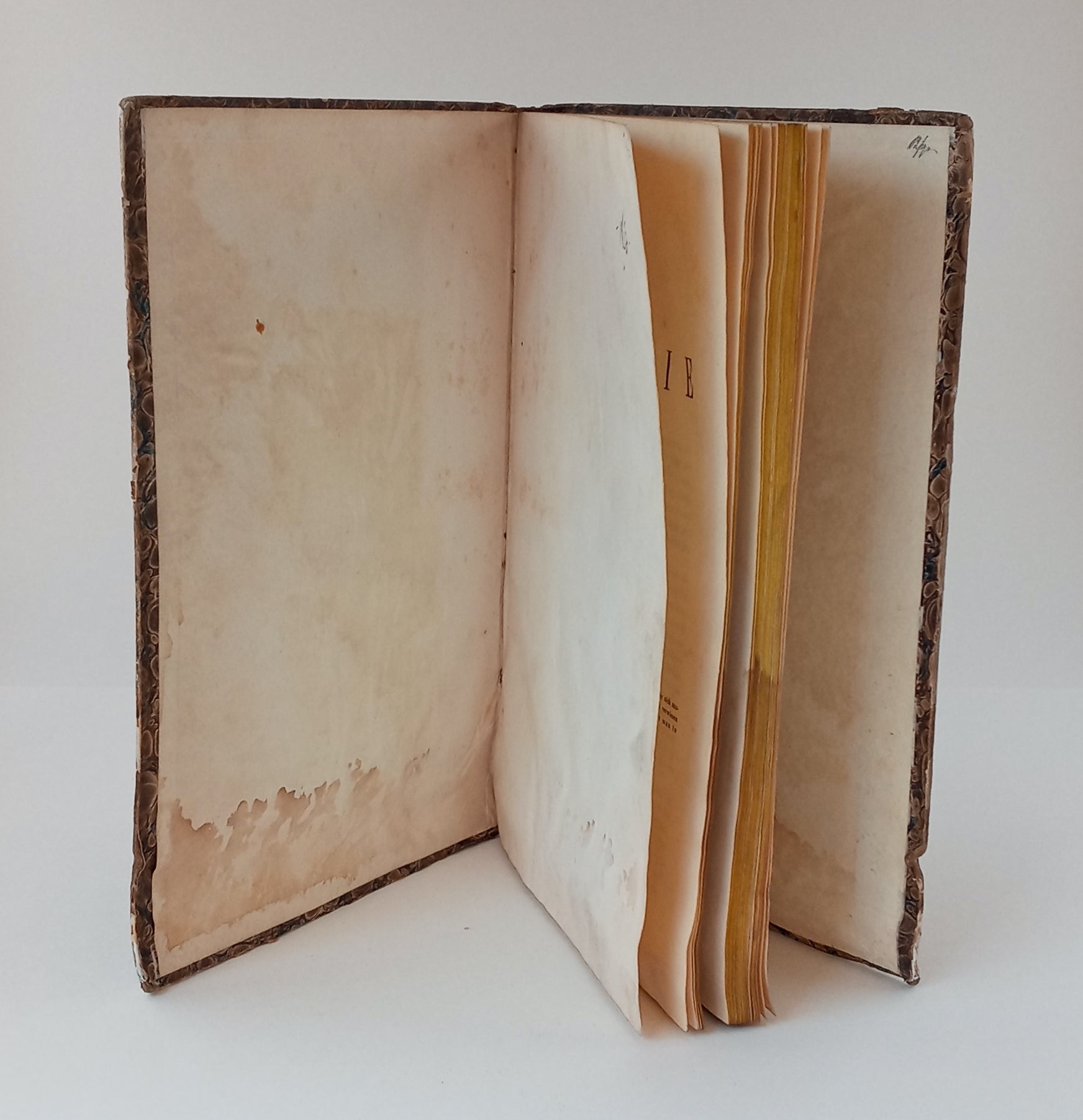 Die Hysterie und ihre Heilung book cover