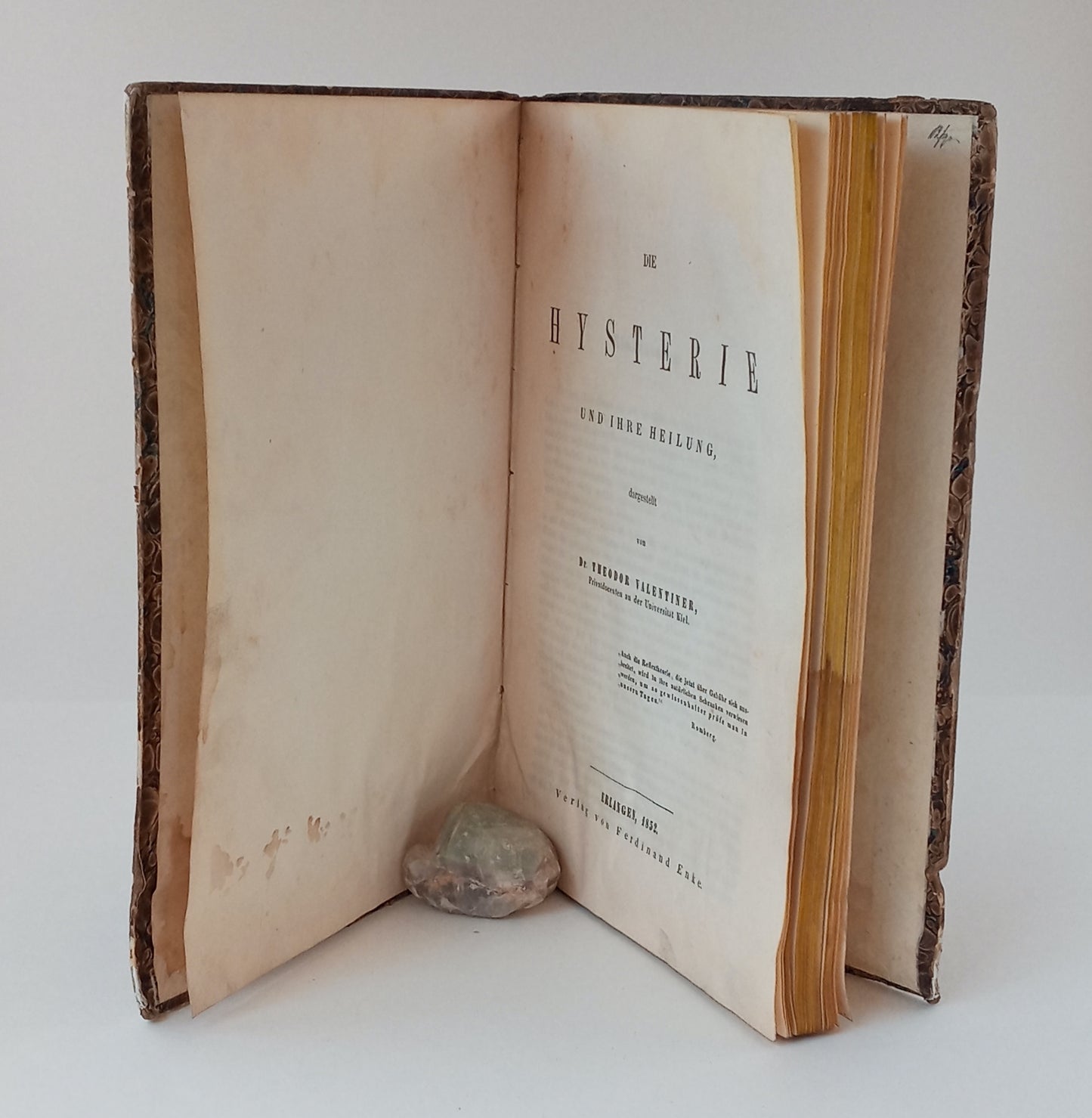 Die Hysterie und ihre Heilung book cover