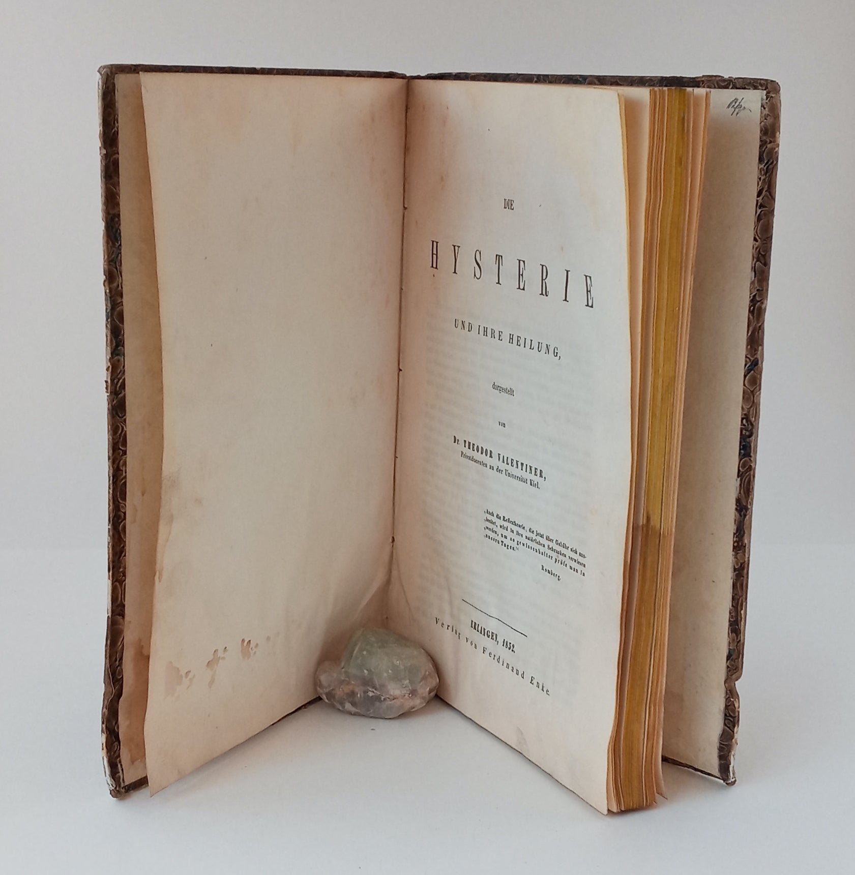 Die Hysterie und ihre Heilung book cover
