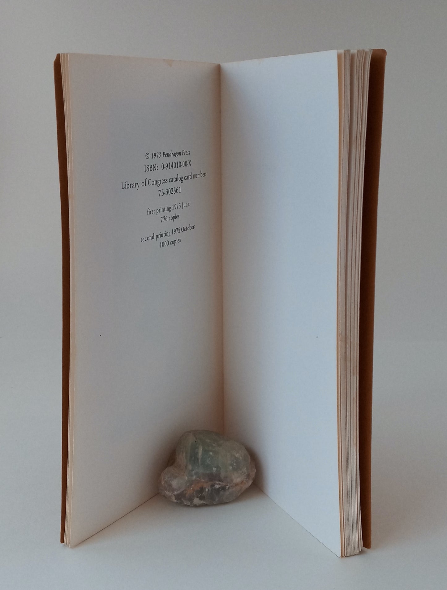 From Elfland to Poughkeepsie book cover