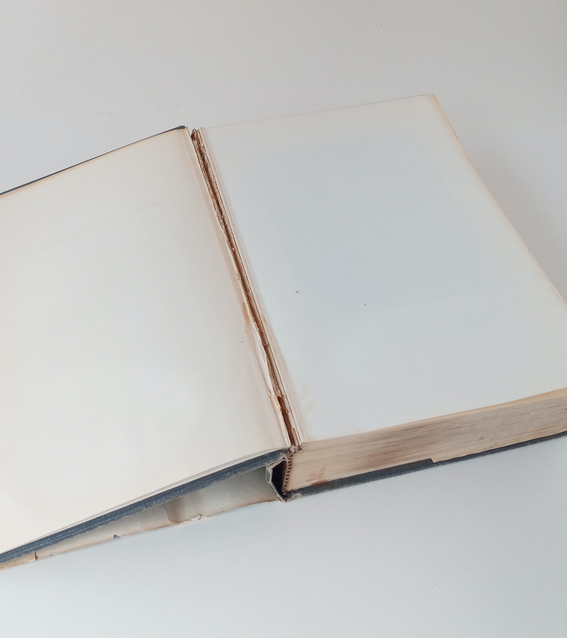 The Papers of Alexander Hamilton, Volume XXII: July 1798-March 1799 book cover