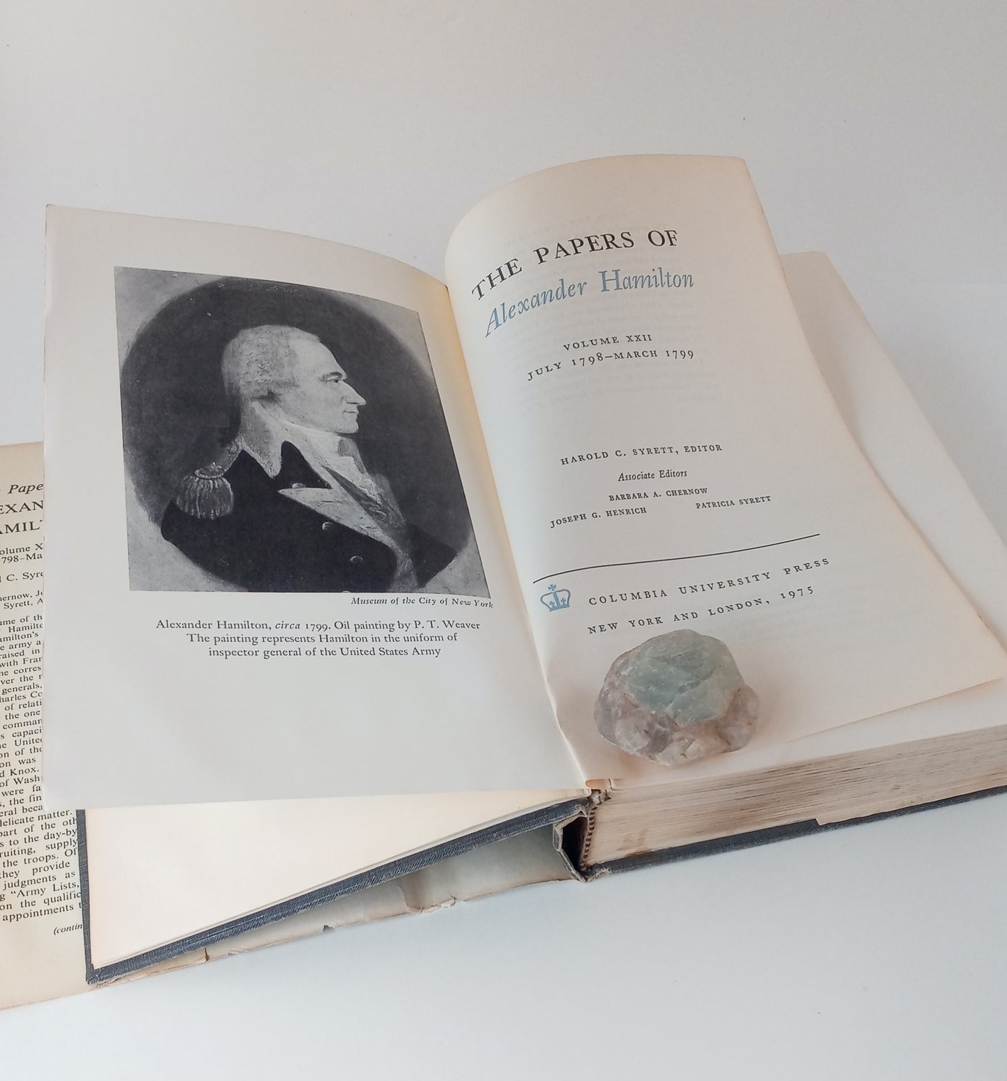 The Papers of Alexander Hamilton, Volume XXII: July 1798-March 1799 book cover