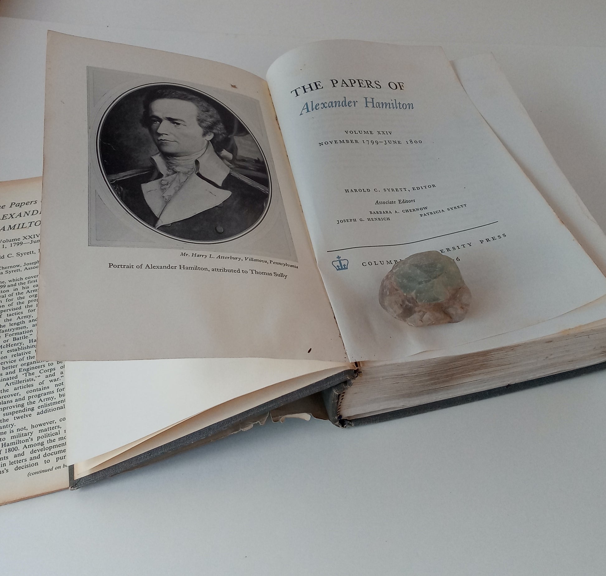 The Papers of Alexander Hamilton, Volume XXIV: November 1799-June 1800 book cover