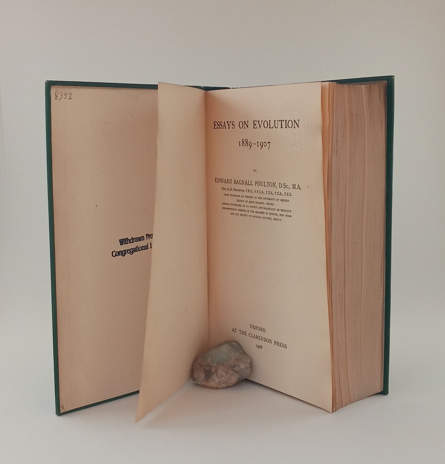 Essays on Evolution, 1889-1907 book cover