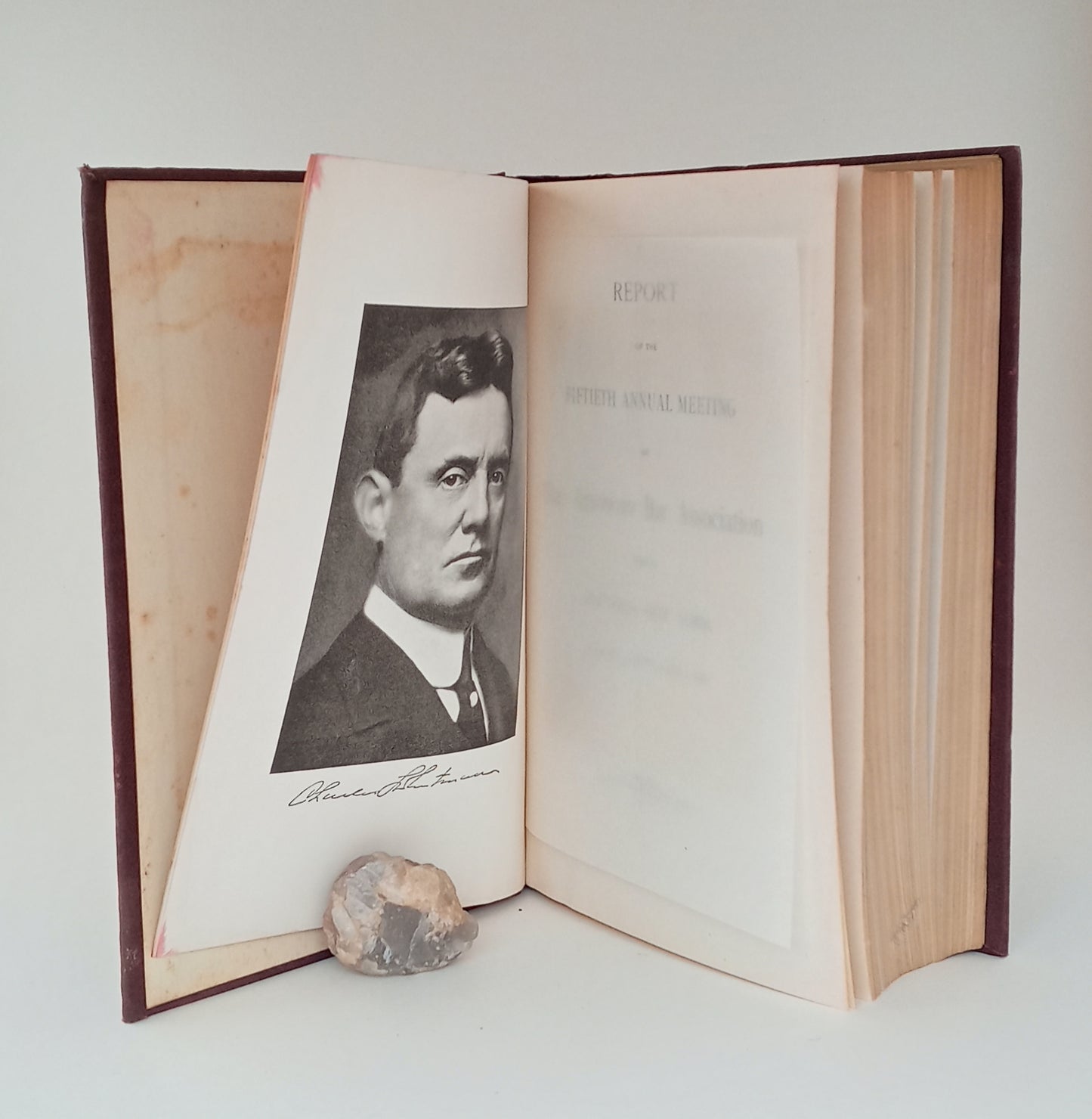 Report on the Fiftieth Annual Meeting of the American Bar Association, Held in Buffalo, New York, August 31, September 1 and 2, 1927 book cover