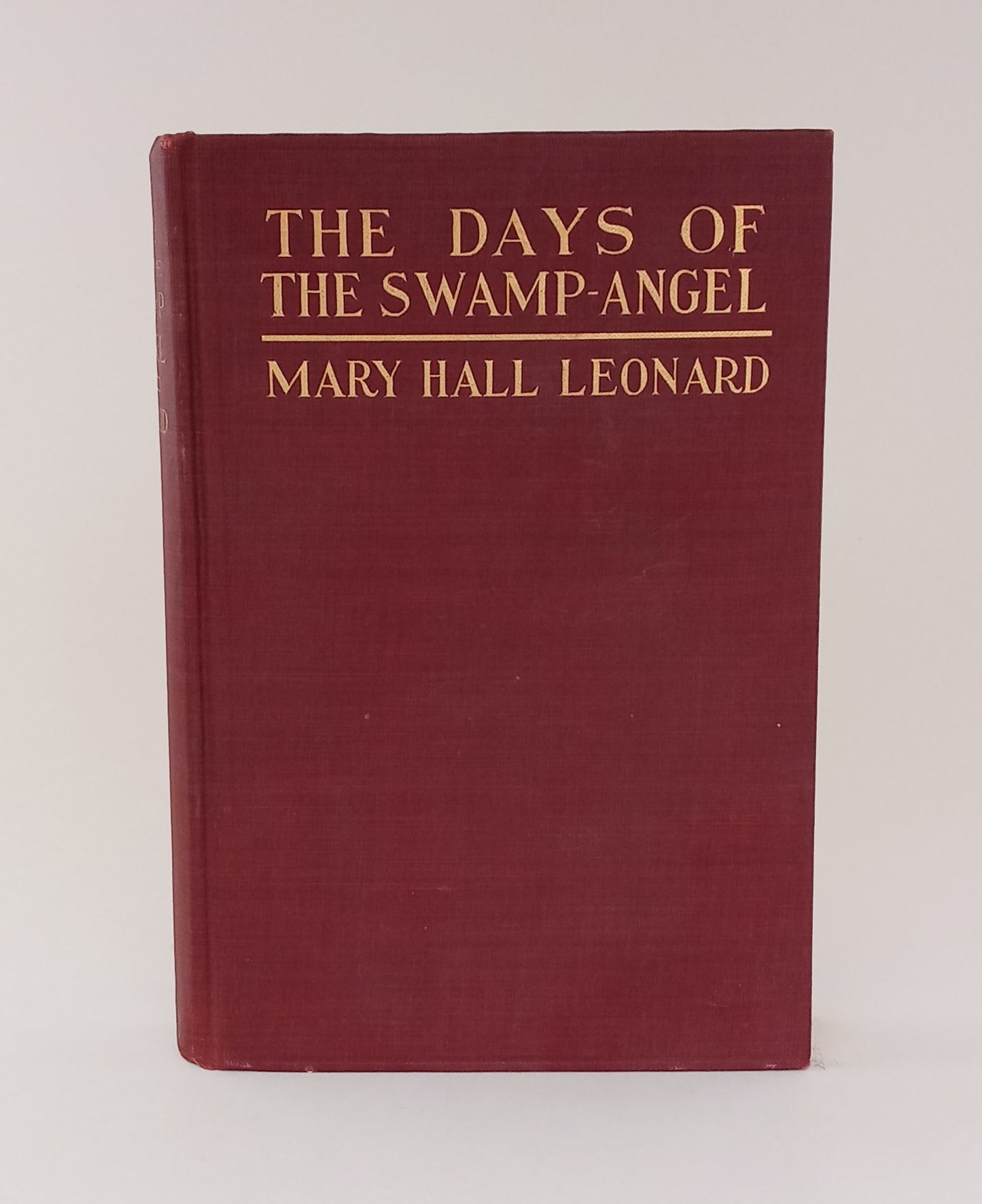 The Days of the Swamp Angel book cover