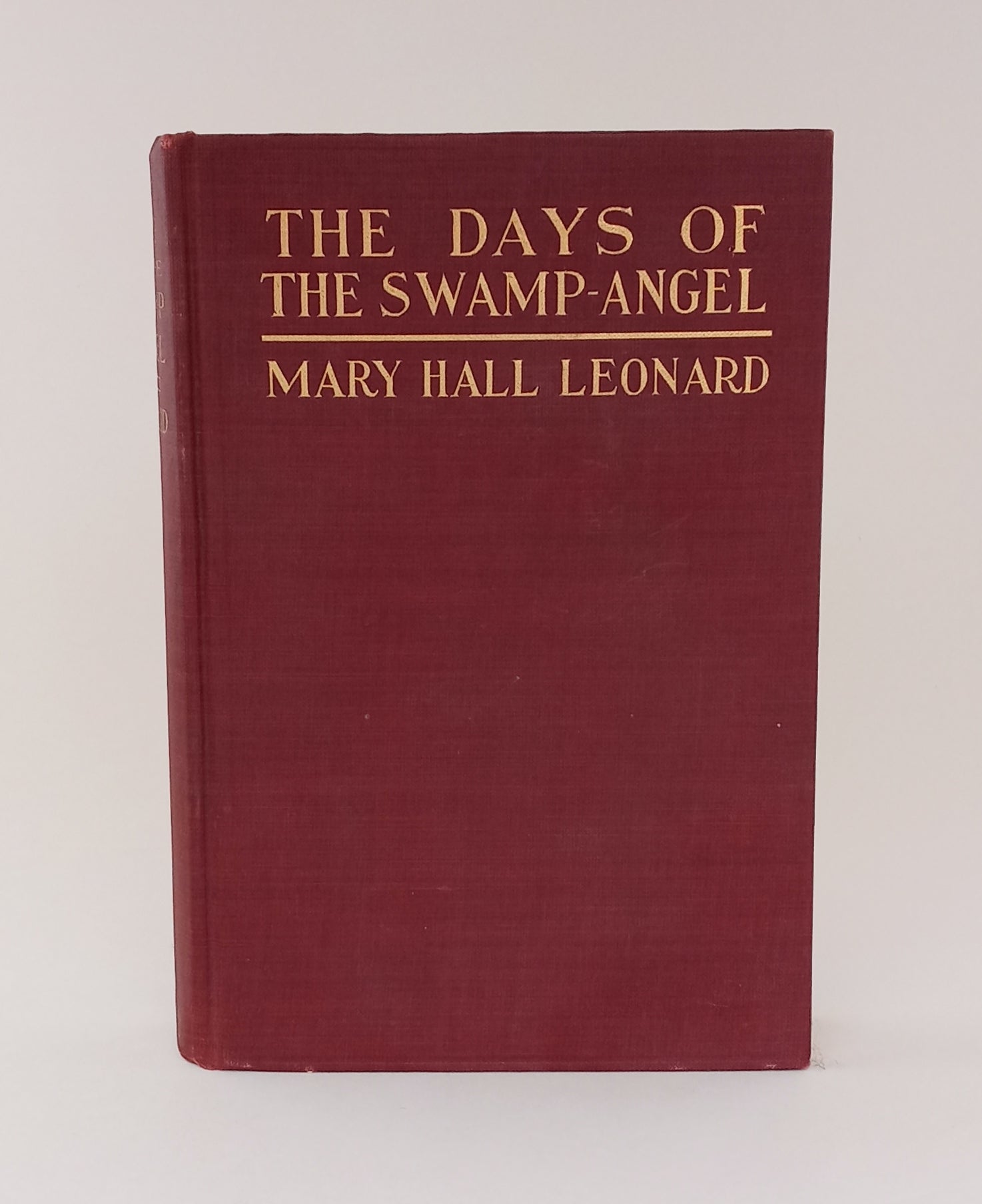 The Days of the Swamp Angel book cover
