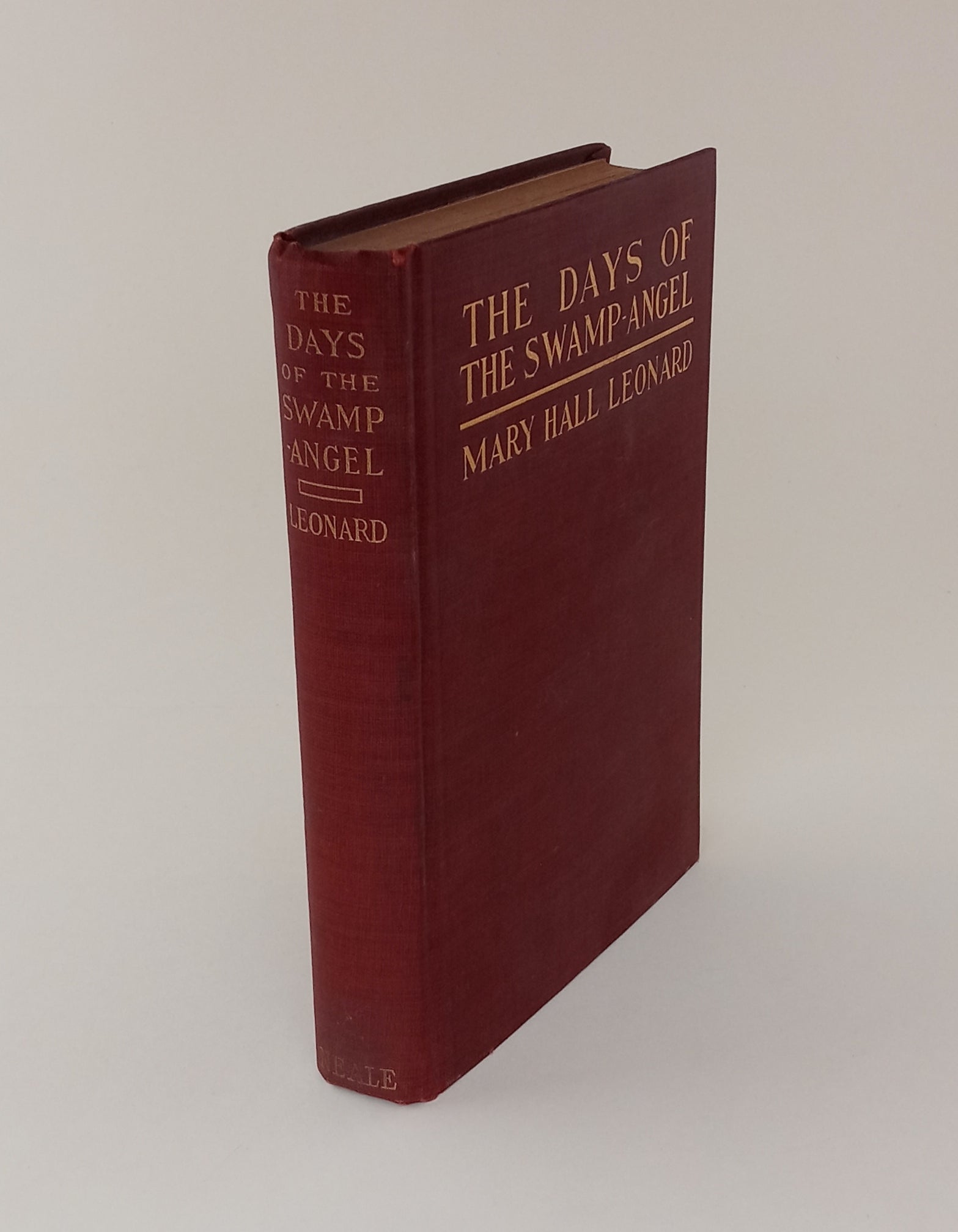 The Days of the Swamp Angel book cover