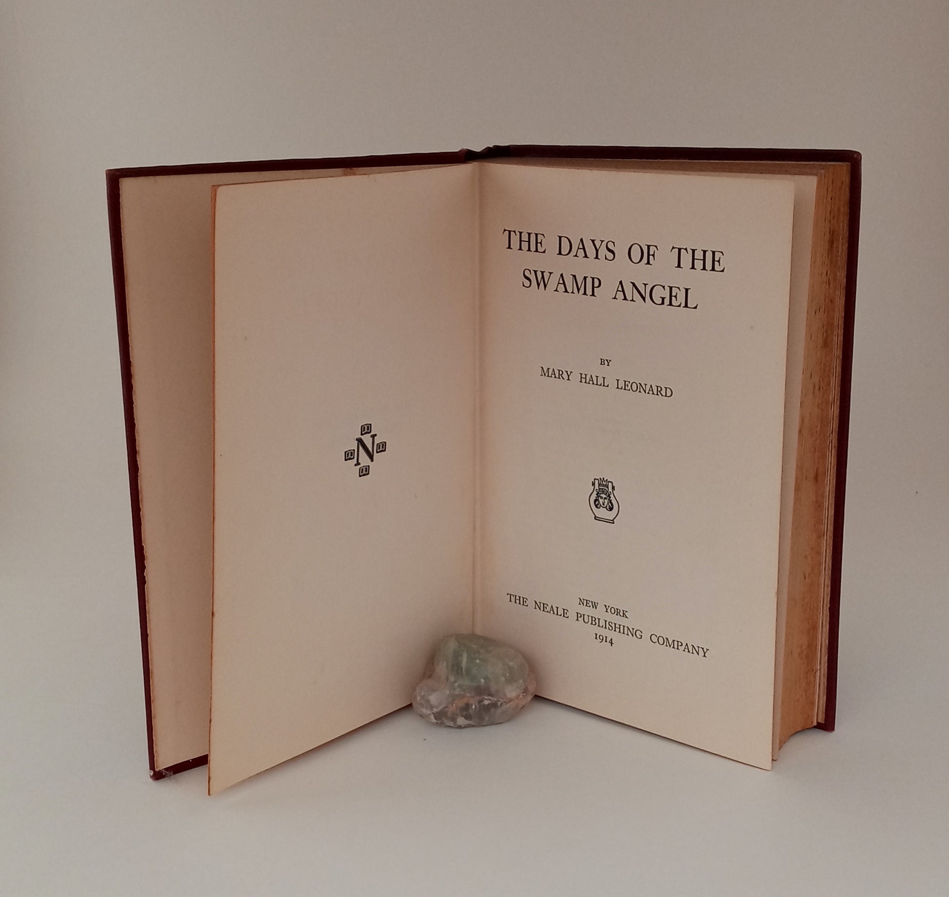 The Days of the Swamp Angel book cover
