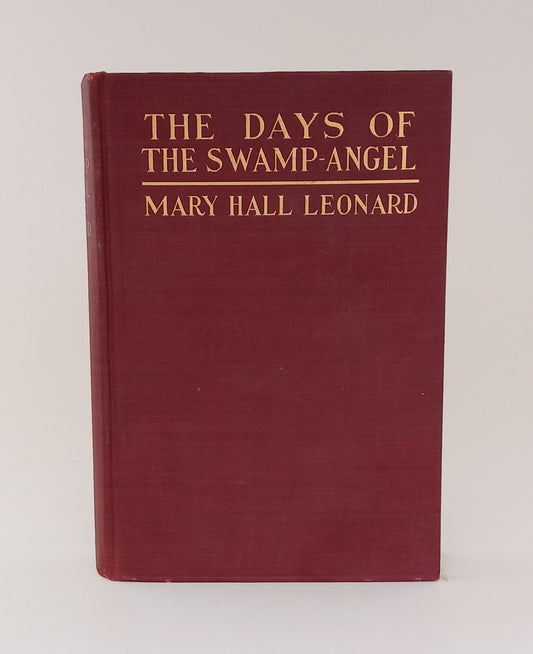 The Days of the Swamp Angel book cover