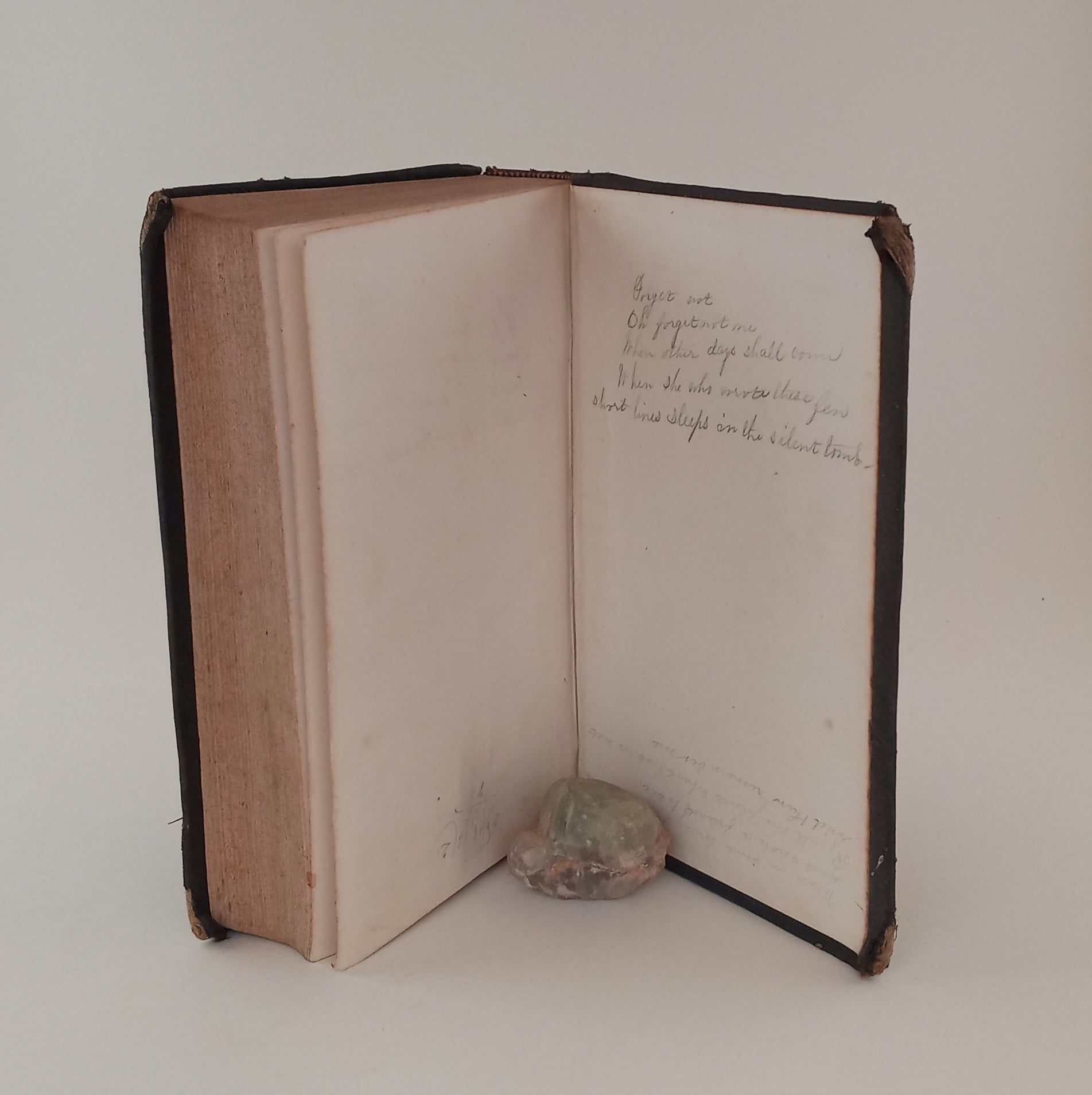 The Progressive Fifth, or Elocutionary Reader; in which the principles of elocution are illustrated by reading exercises in connection with the rules: for the use of schools and academies. book cover