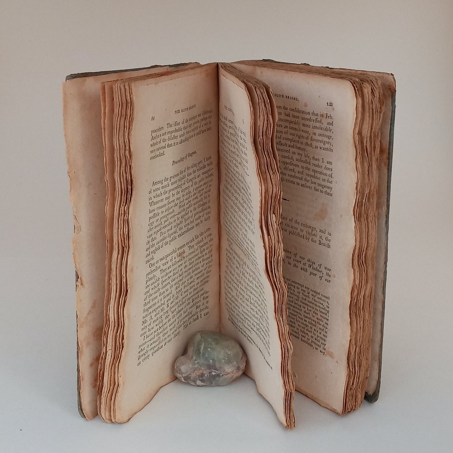 The Olive Branch, or Faults on Both Sides, Federal and Democratic. A Serious Appeal on the Necessity of Mutual Forgiveness and Harmony, to Save Our Common Country from Ruin. book cover