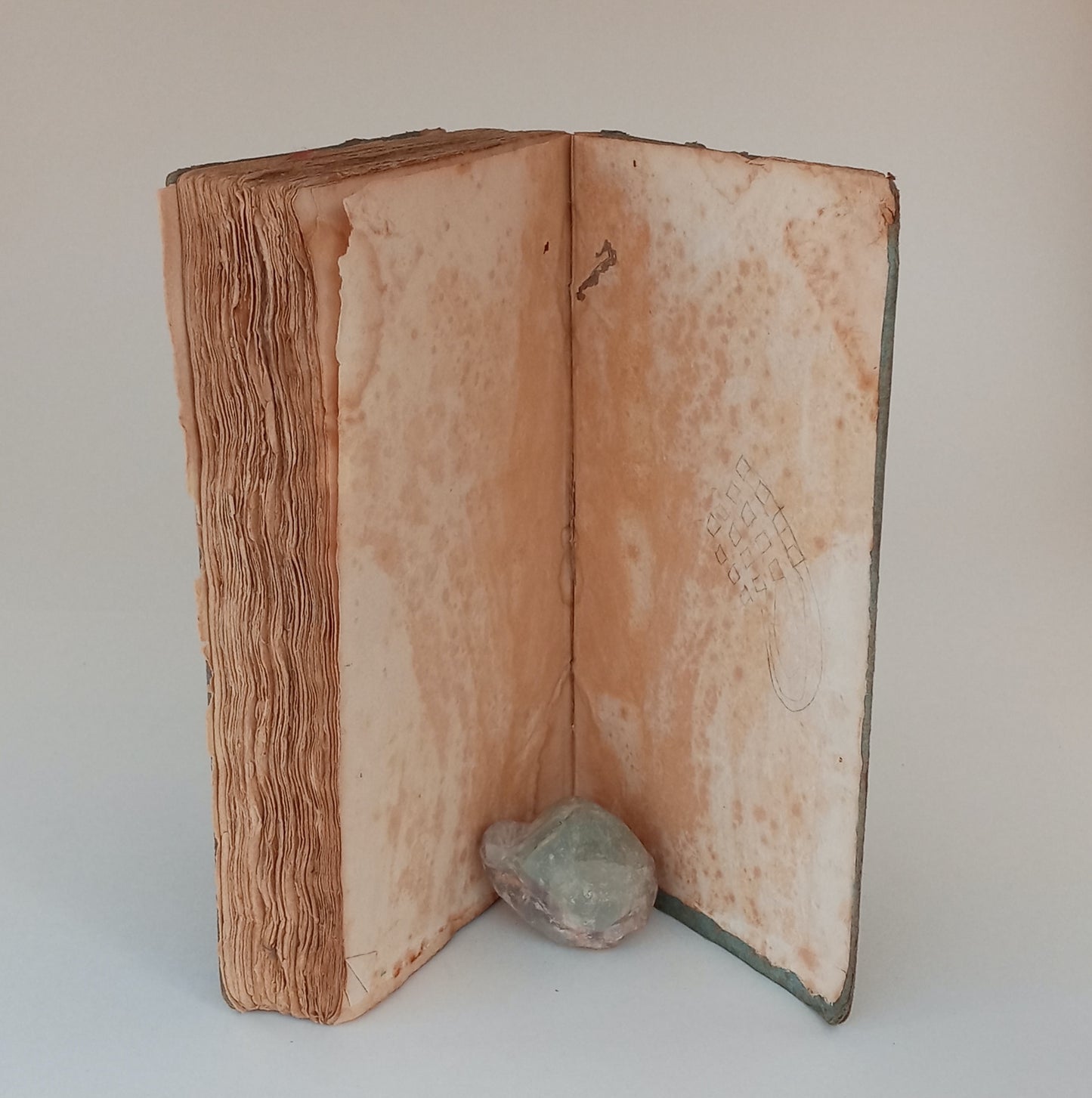 The Olive Branch, or Faults on Both Sides, Federal and Democratic. A Serious Appeal on the Necessity of Mutual Forgiveness and Harmony, to Save Our Common Country from Ruin. book cover