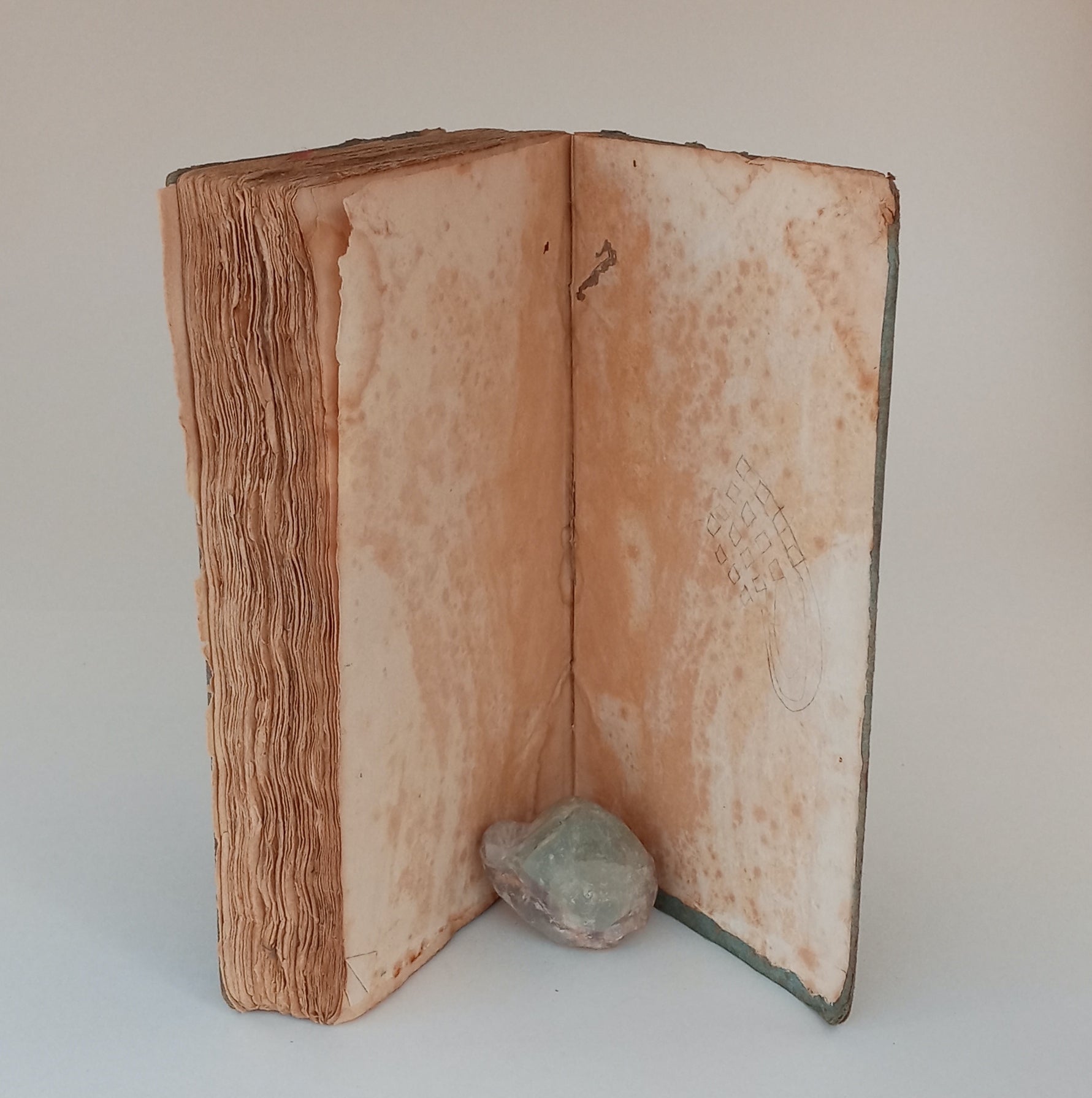 The Olive Branch, or Faults on Both Sides, Federal and Democratic. A Serious Appeal on the Necessity of Mutual Forgiveness and Harmony, to Save Our Common Country from Ruin. book cover