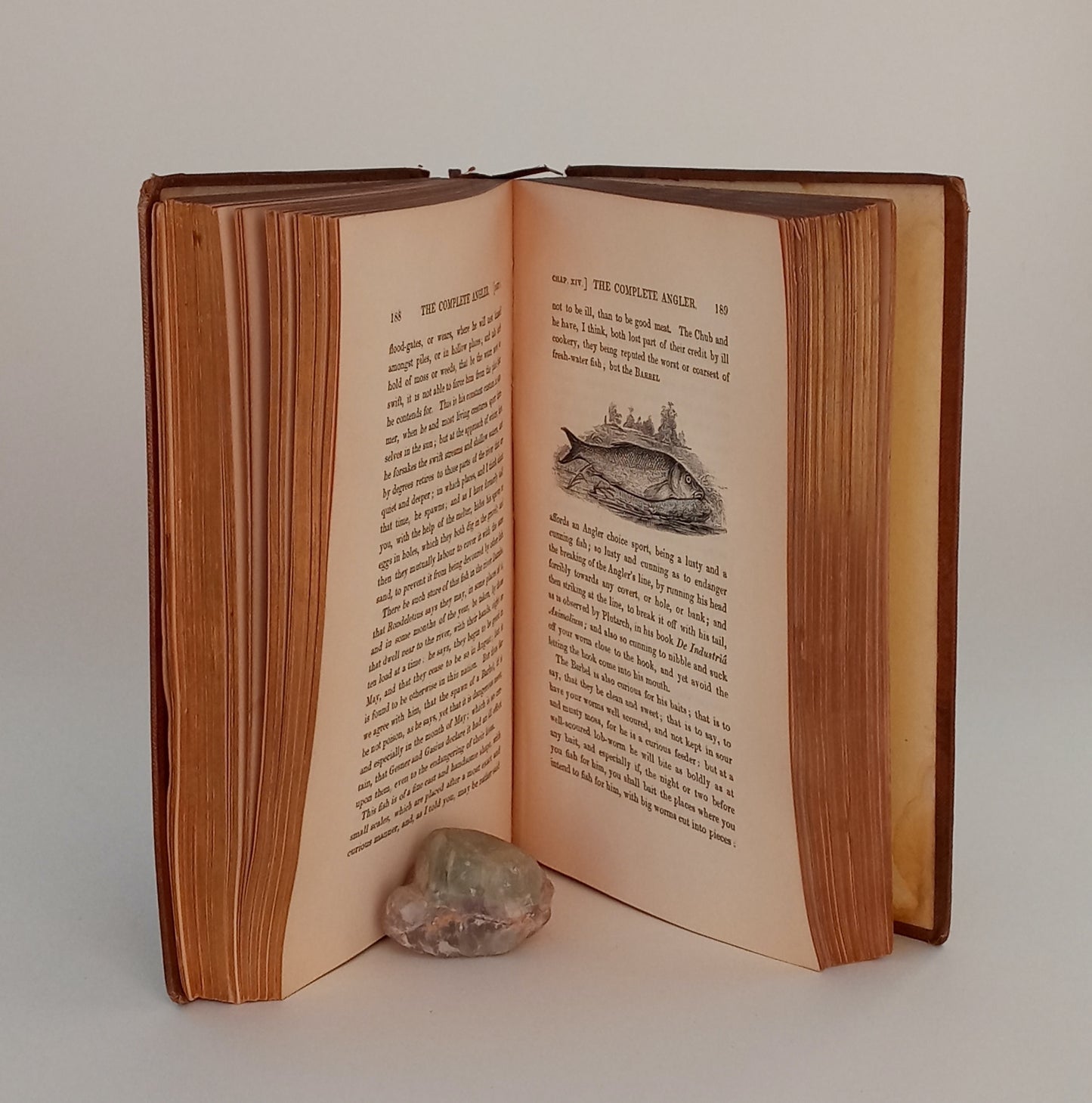 The Complete Angler; or, Contemplative Man's Recreation. book cover