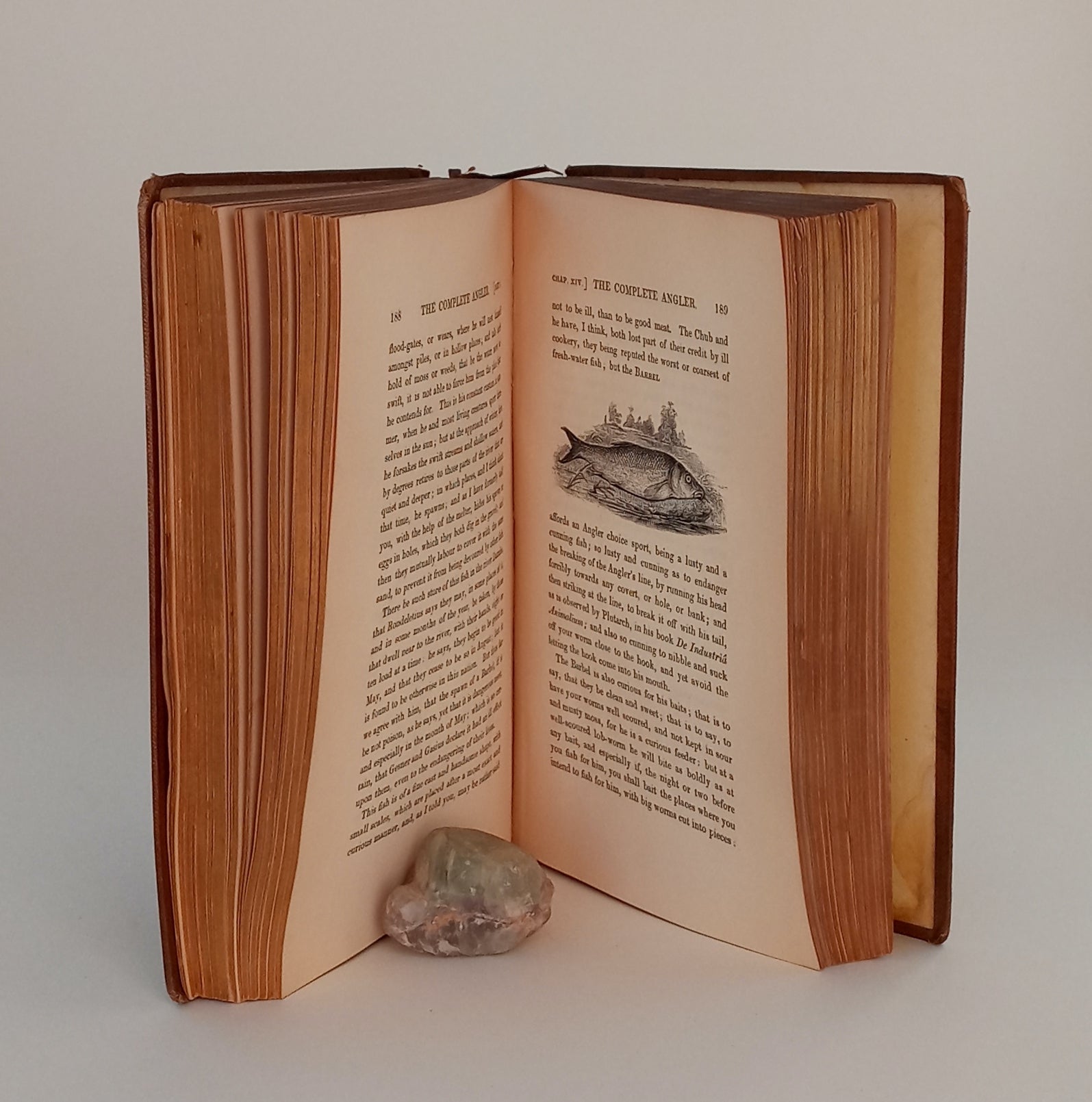 The Complete Angler; or, Contemplative Man's Recreation. book cover
