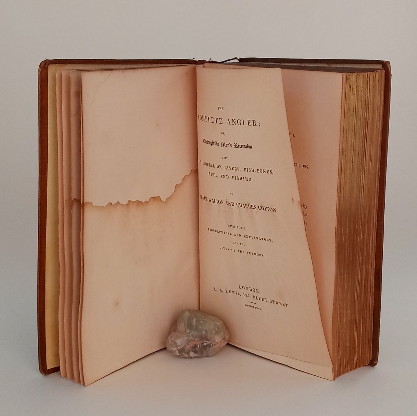 The Complete Angler; or, Contemplative Man's Recreation. book cover