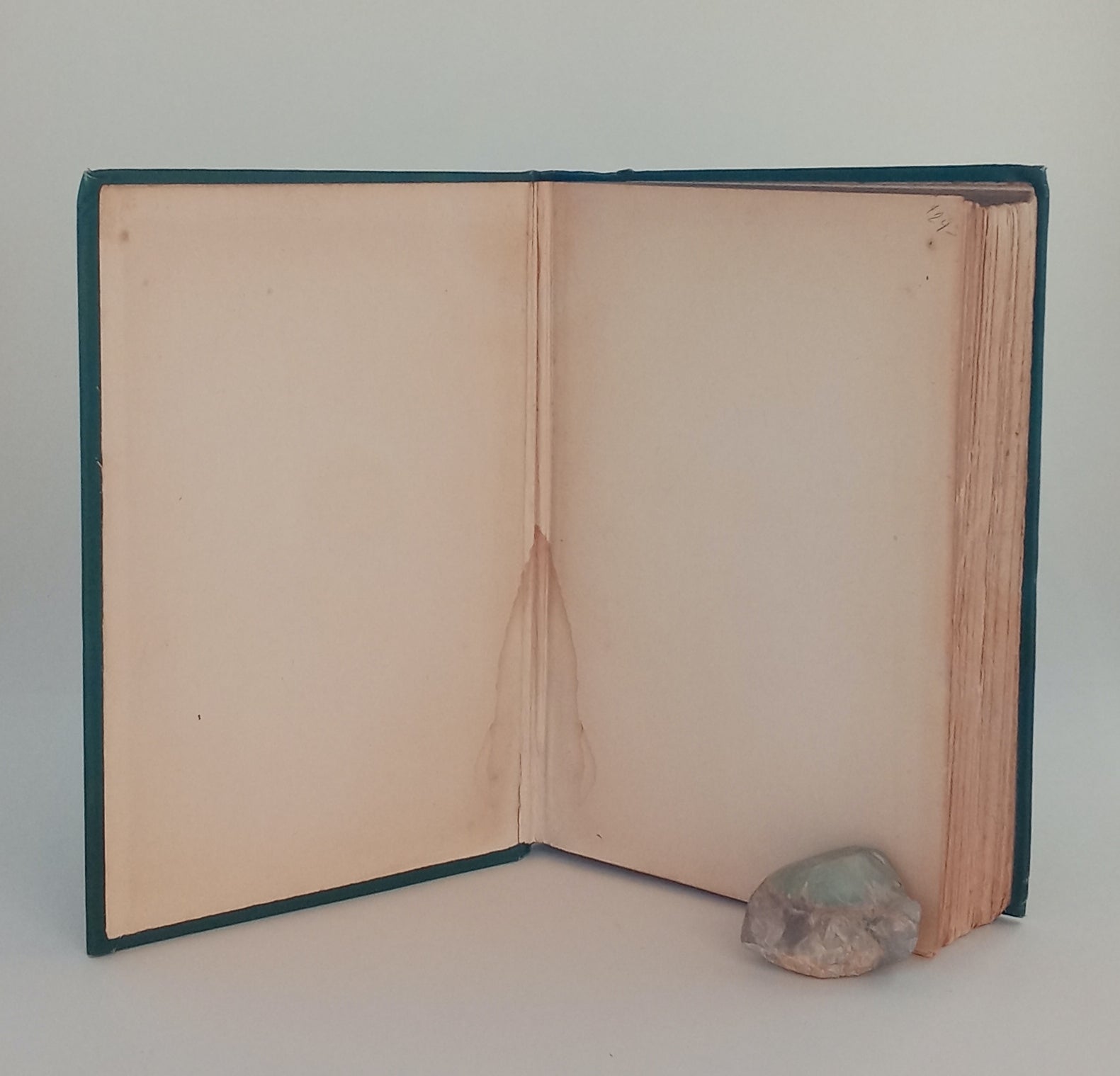 Ave Roma Immortalis: Studies from the Chronicles of Rome book cover