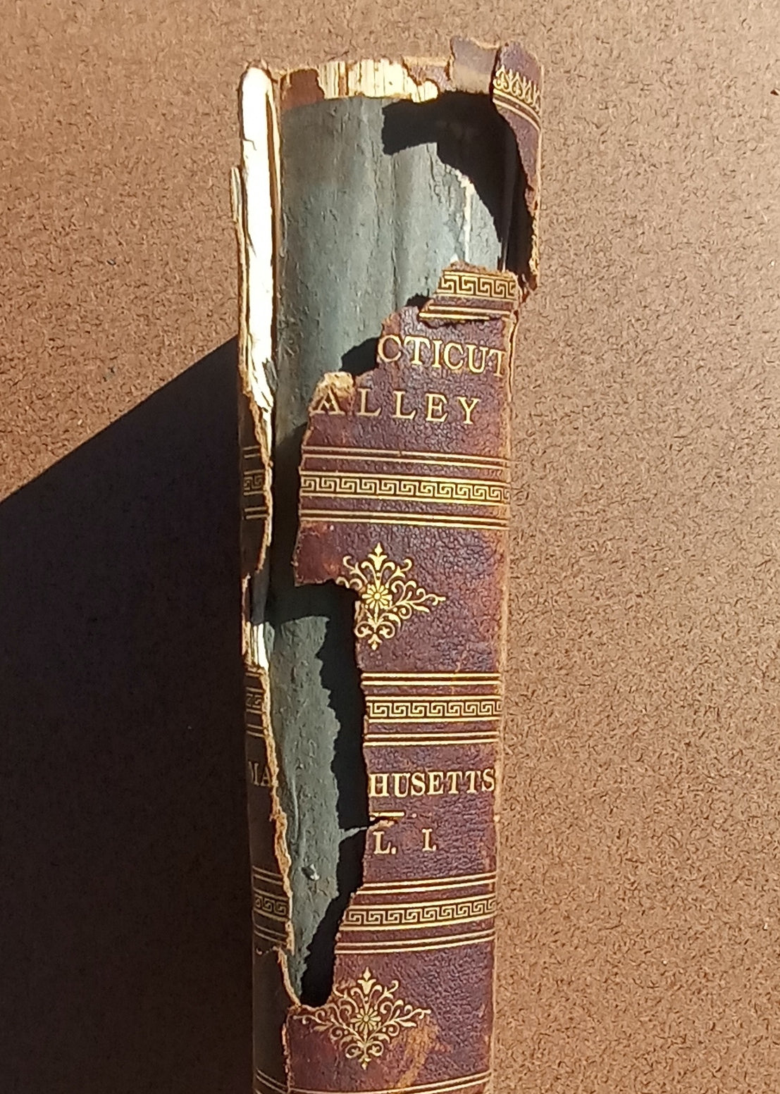 History of the Connecticut Valley in Massachusetts, with Illustrations and Biographical Sketches of Some of its Prominent Men and Pioneers; Volume I of two ONLY. book cover