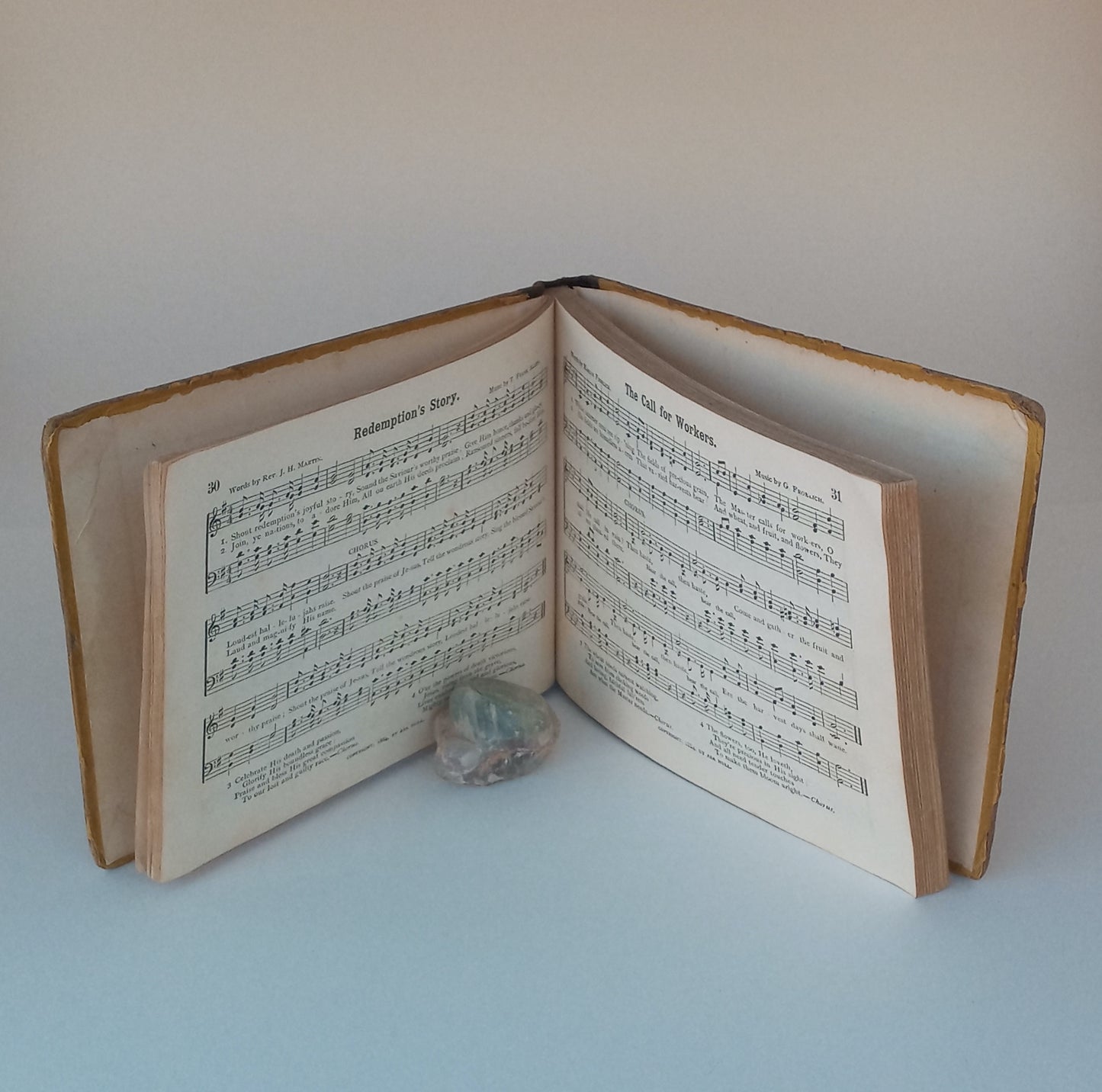 Jewels of Praise, a Collection of Choice Original Hymns and Tunes, Suitable for Sunday-Schools, bible Classes and the Home Circle book cover