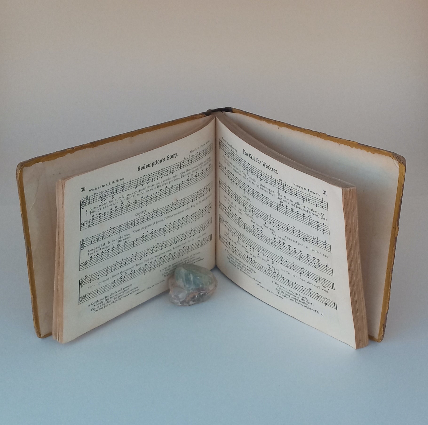 Jewels of Praise, a Collection of Choice Original Hymns and Tunes, Suitable for Sunday-Schools, bible Classes and the Home Circle book cover