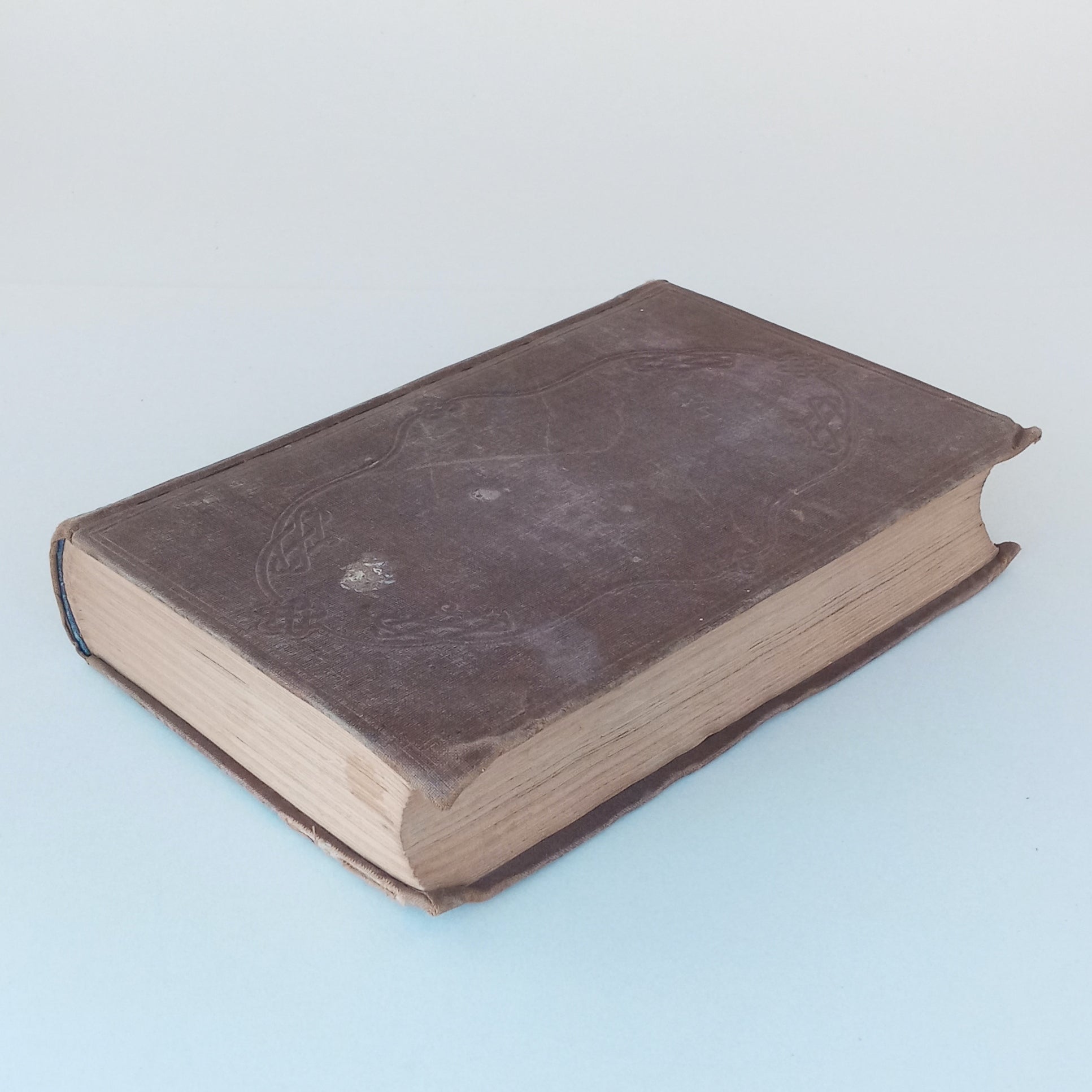 Modern Agitators: or, Pen Portraits of Living American Reformers. book cover