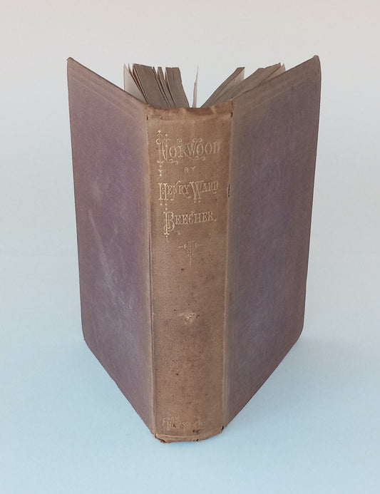 Norwood; or, Village Life in New England. book cover