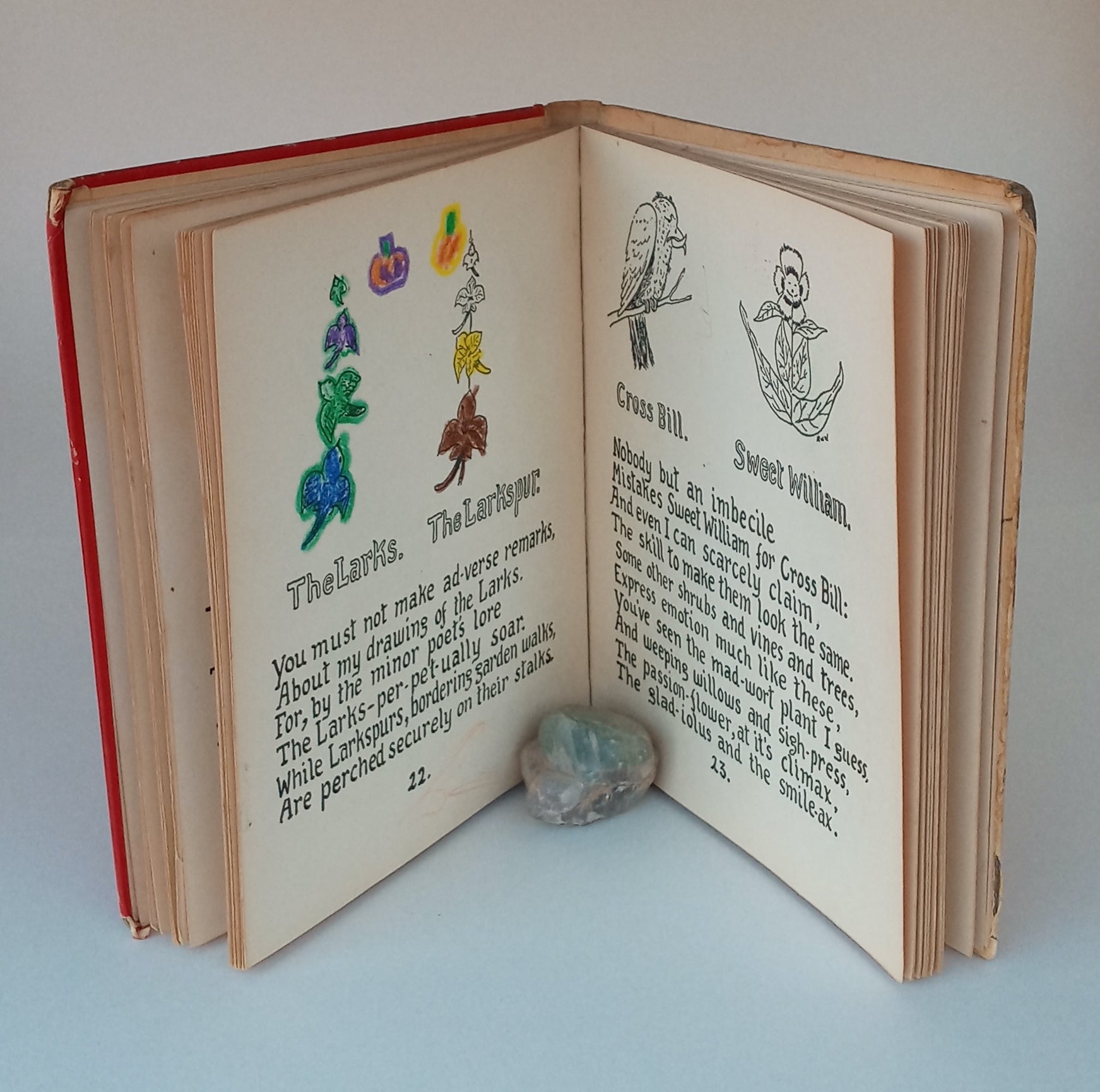 How to Tell the Birds from the Flowers and Other Woodcuts. A Revised Manual of Flornithology for Beginners. book cover