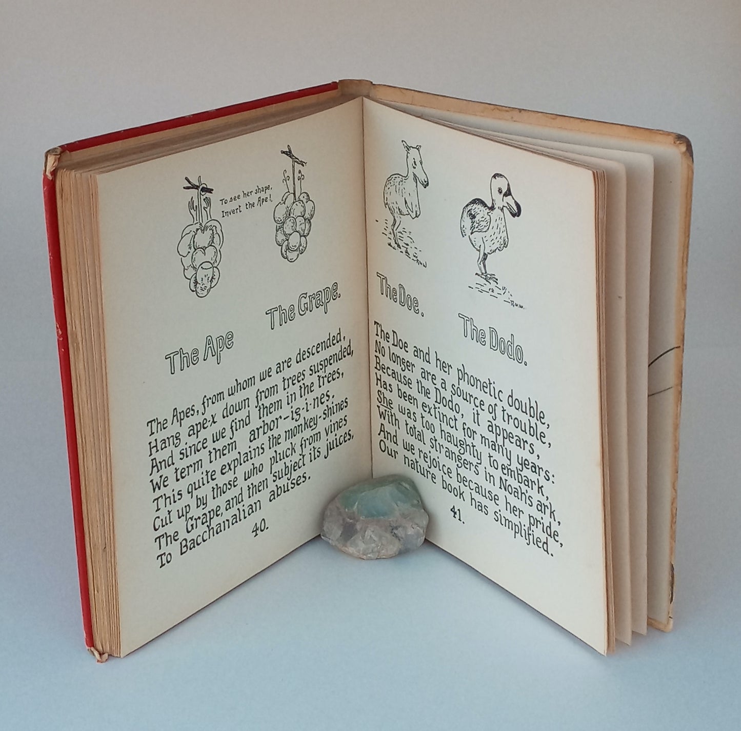 How to Tell the Birds from the Flowers and Other Woodcuts. A Revised Manual of Flornithology for Beginners. book cover