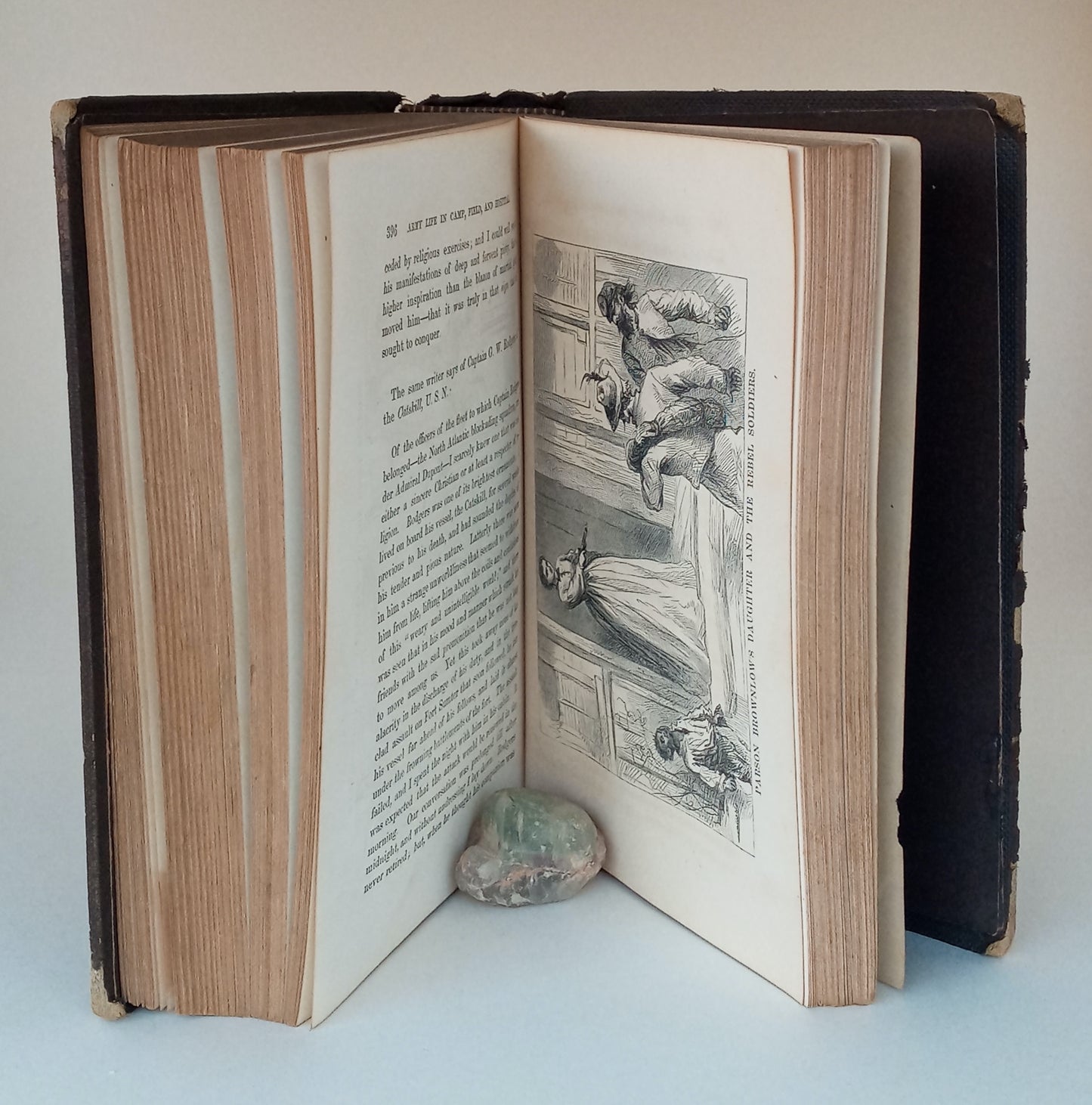 The Camp, the Battlefield, and the Hospital; or, Lights and Shadows of the Great Rebellion. book cover