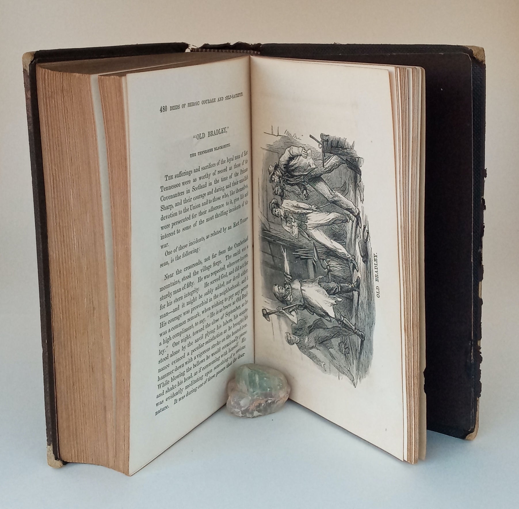 The Camp, the Battlefield, and the Hospital; or, Lights and Shadows of the Great Rebellion. book cover