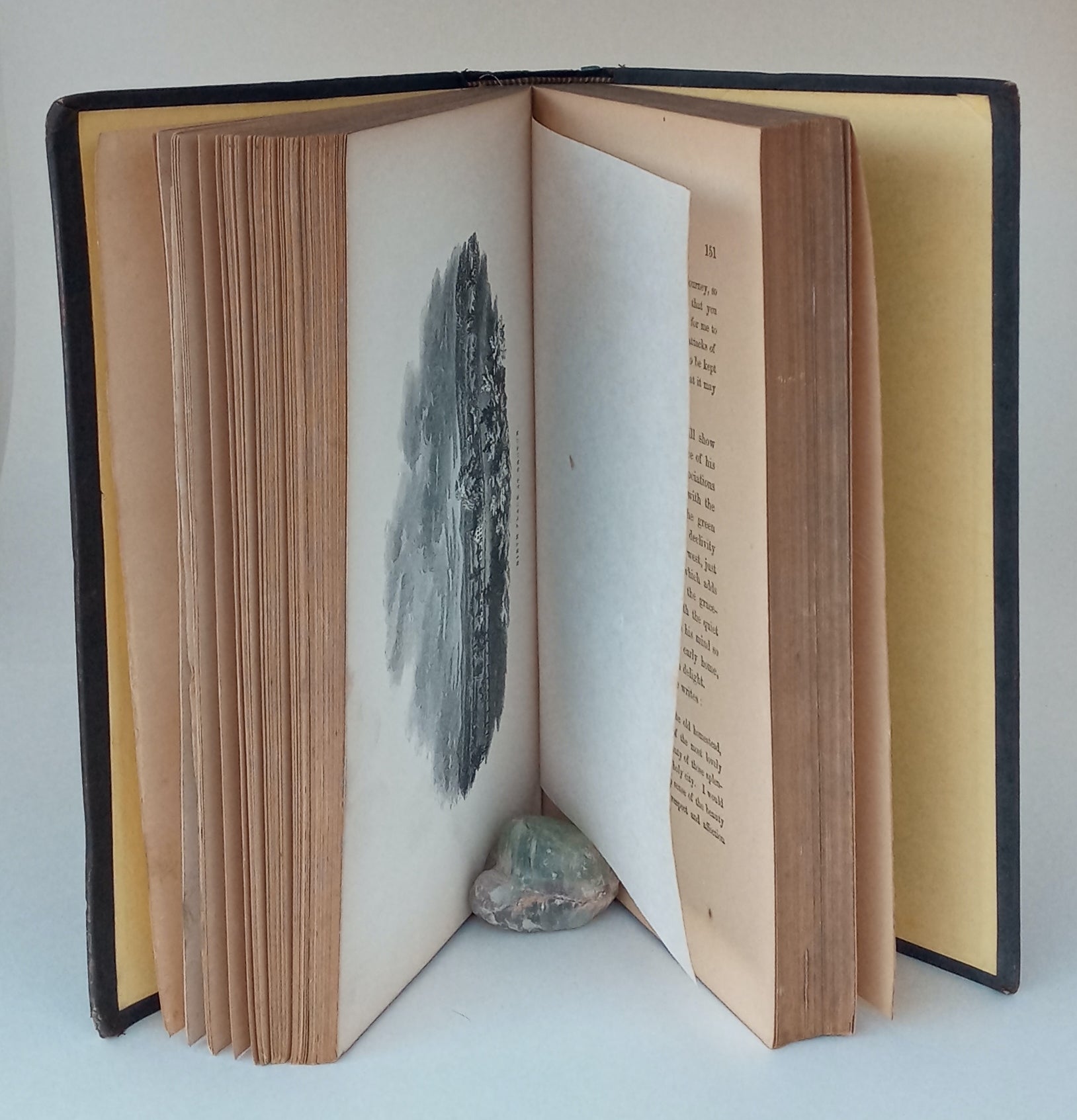 Extracts from the Diary and Correspondence of the Late Amos Lawrence; with a brief account of some incidents in his life. book cover
