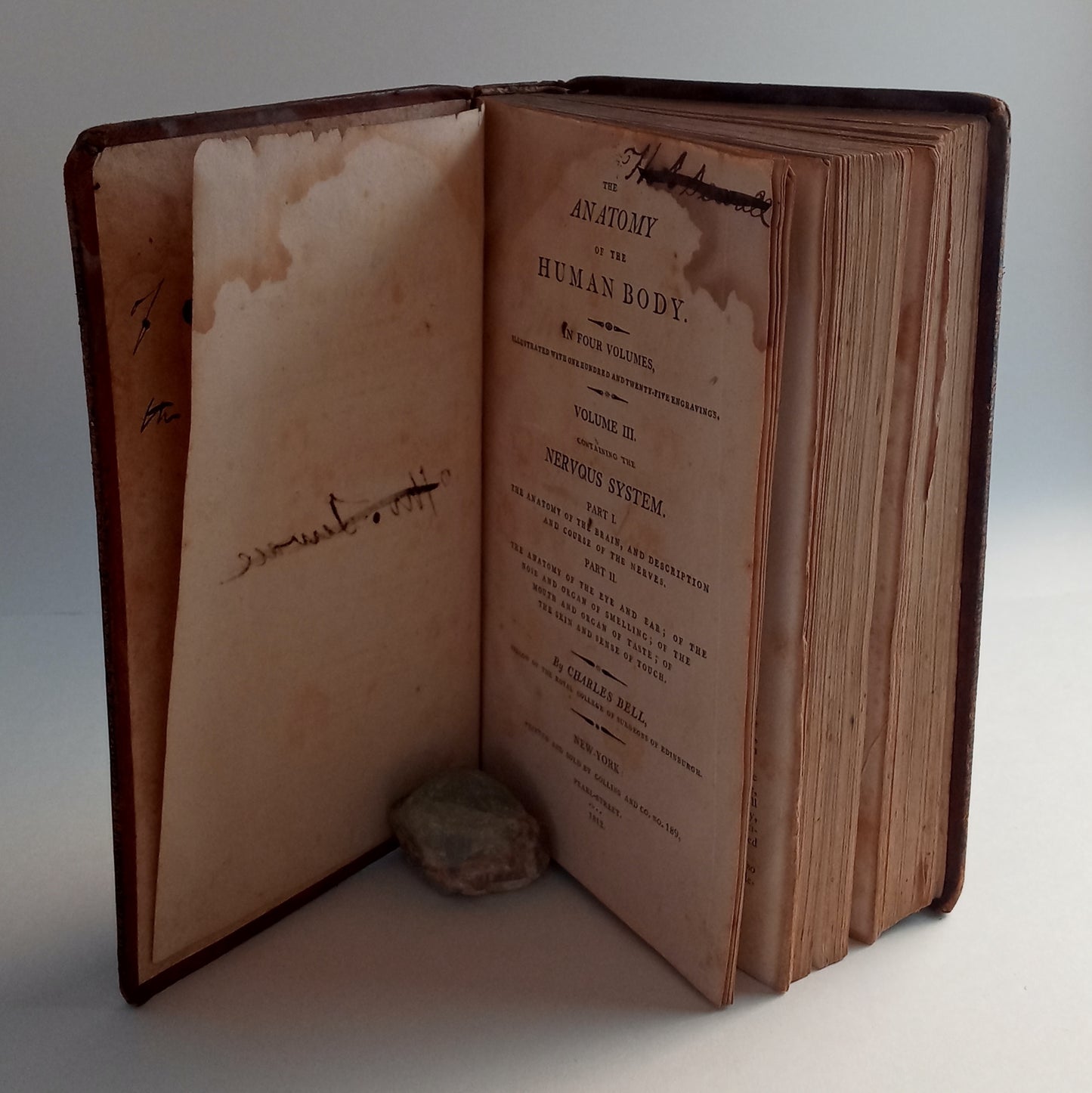 The Anatomy of the Human Body. In four volumes, illustrated with one hundred and twenty-five engravings. Volumes III and IV. book cover