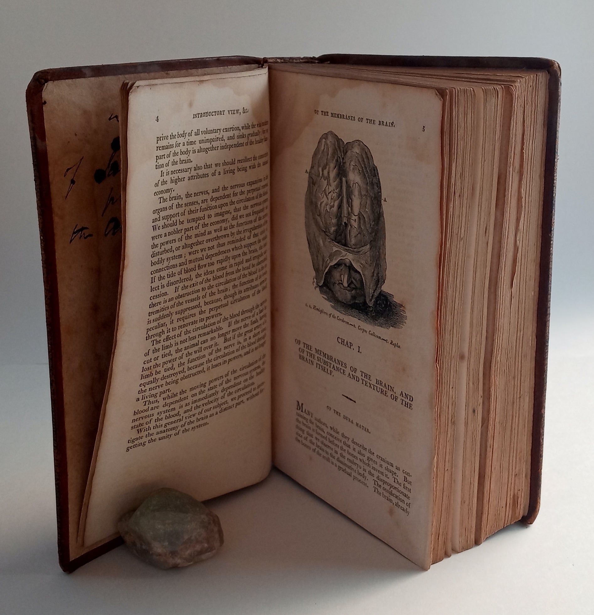 The Anatomy of the Human Body. In four volumes, illustrated with one hundred and twenty-five engravings. Volumes III and IV. book cover