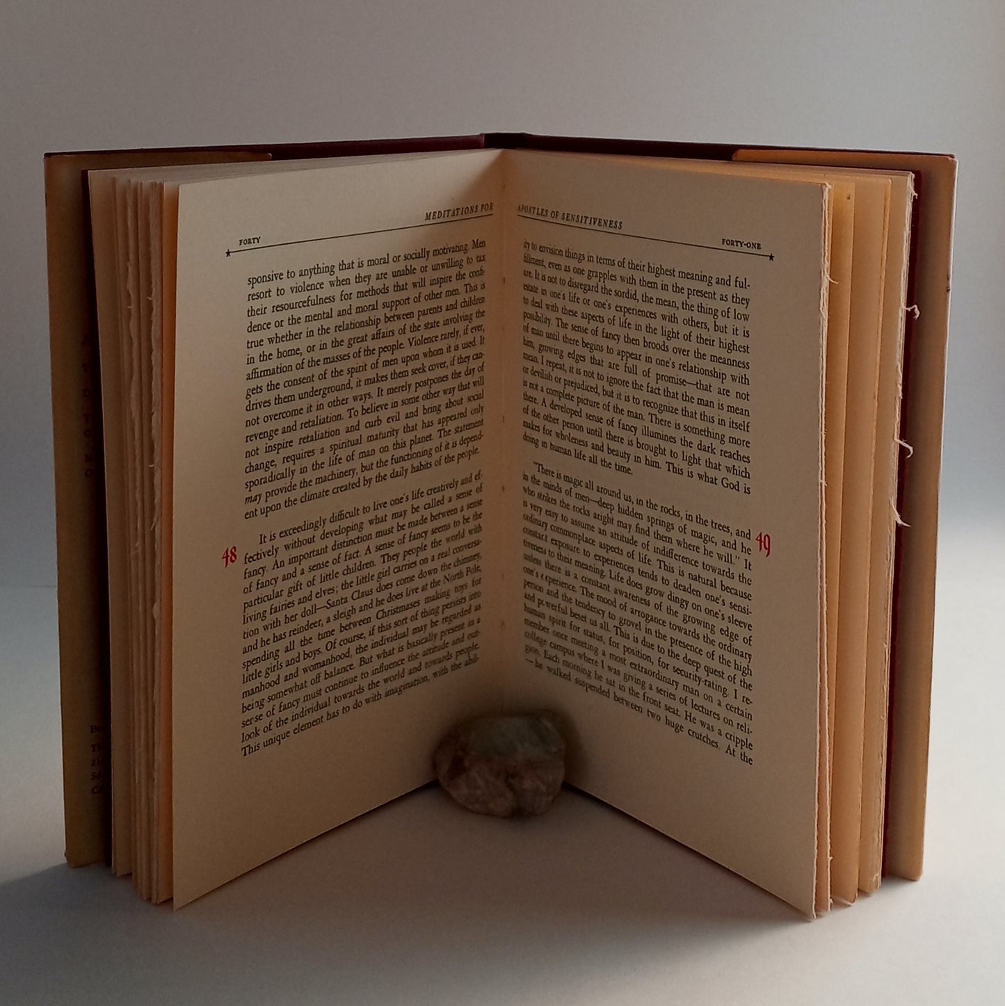 Meditations for Apostles of Sensitiveness book cover