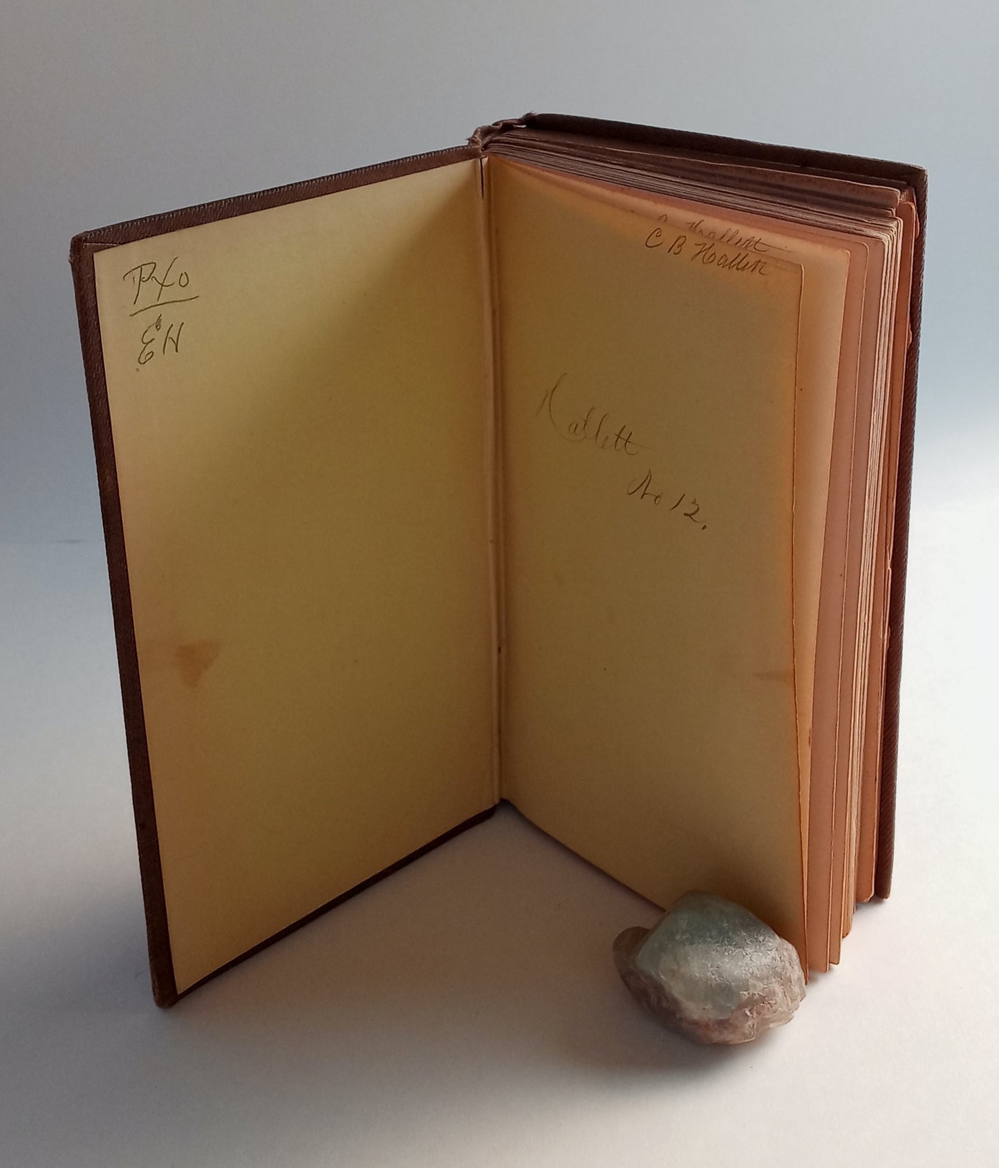 Hits at American Whims and Hints for Home Use book cover