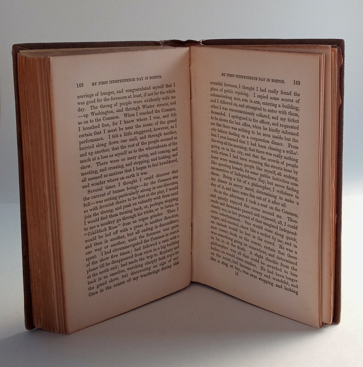 Hits at American Whims and Hints for Home Use book cover