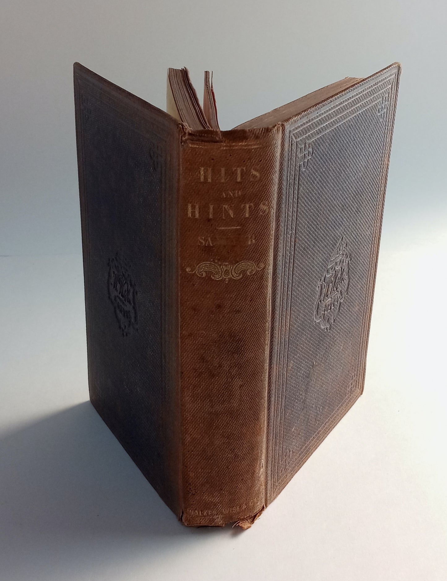 Hits at American Whims and Hints for Home Use book cover