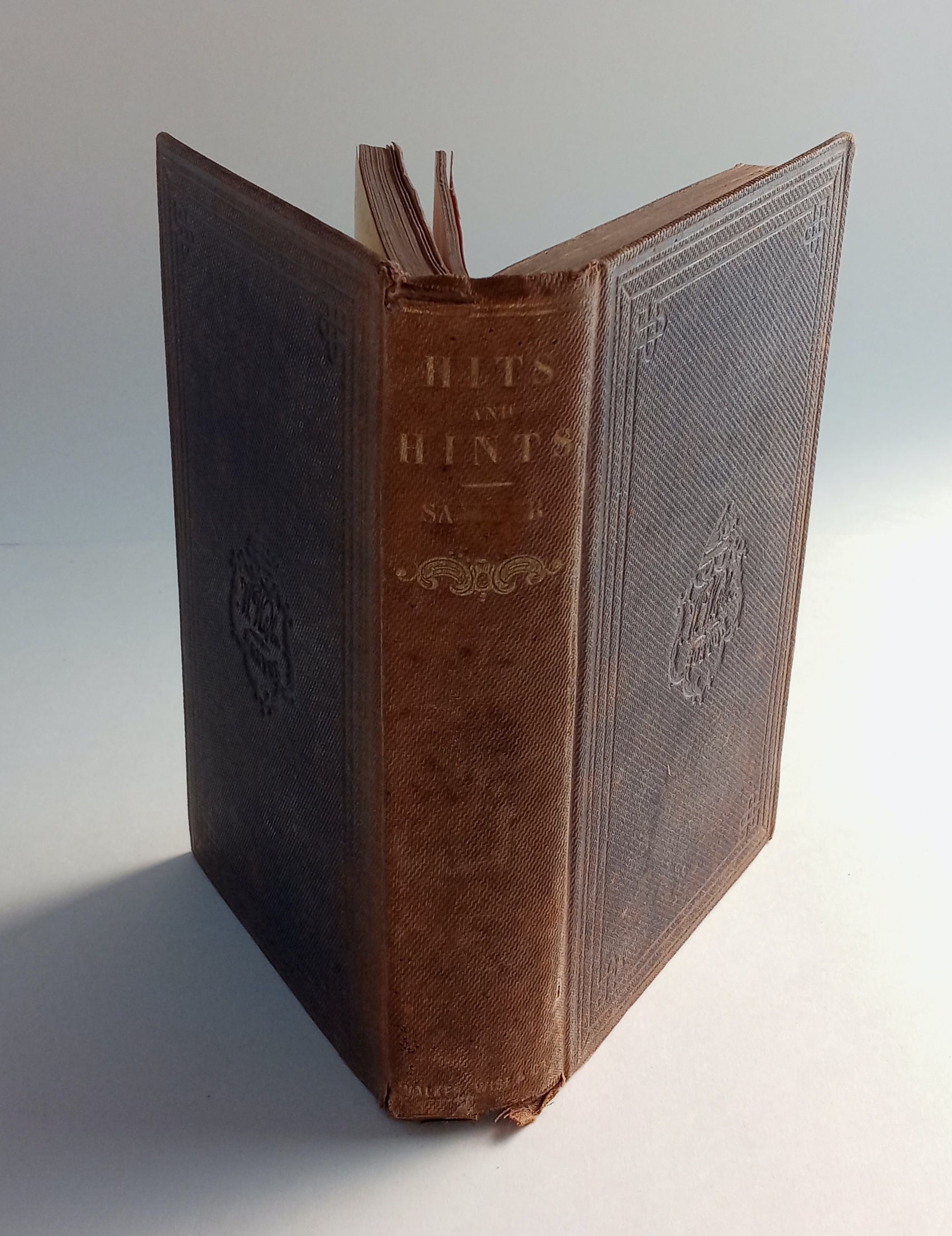 Hits at American Whims and Hints for Home Use book cover