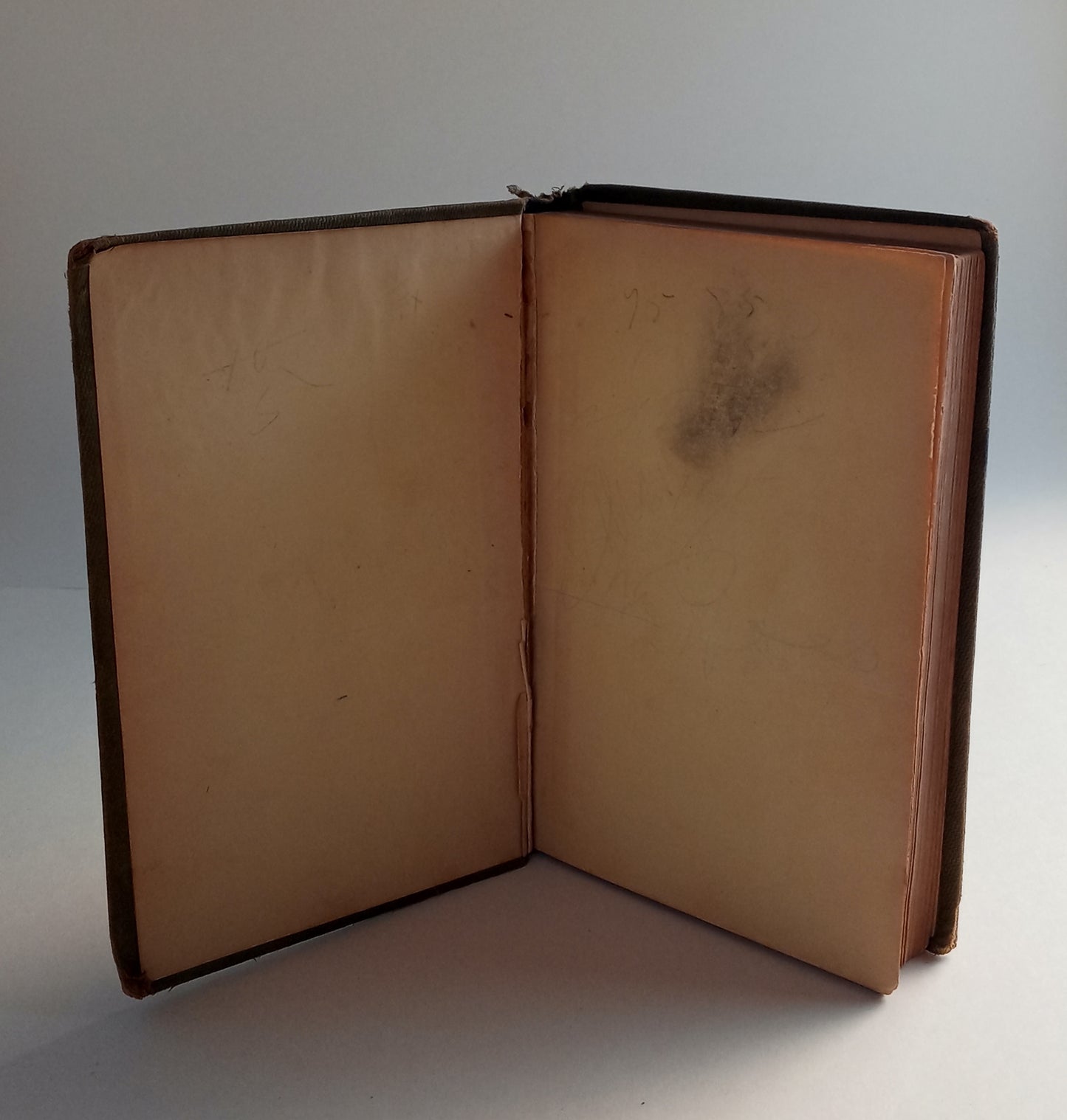 Wolfert's Roost and other papers, now first collected book cover