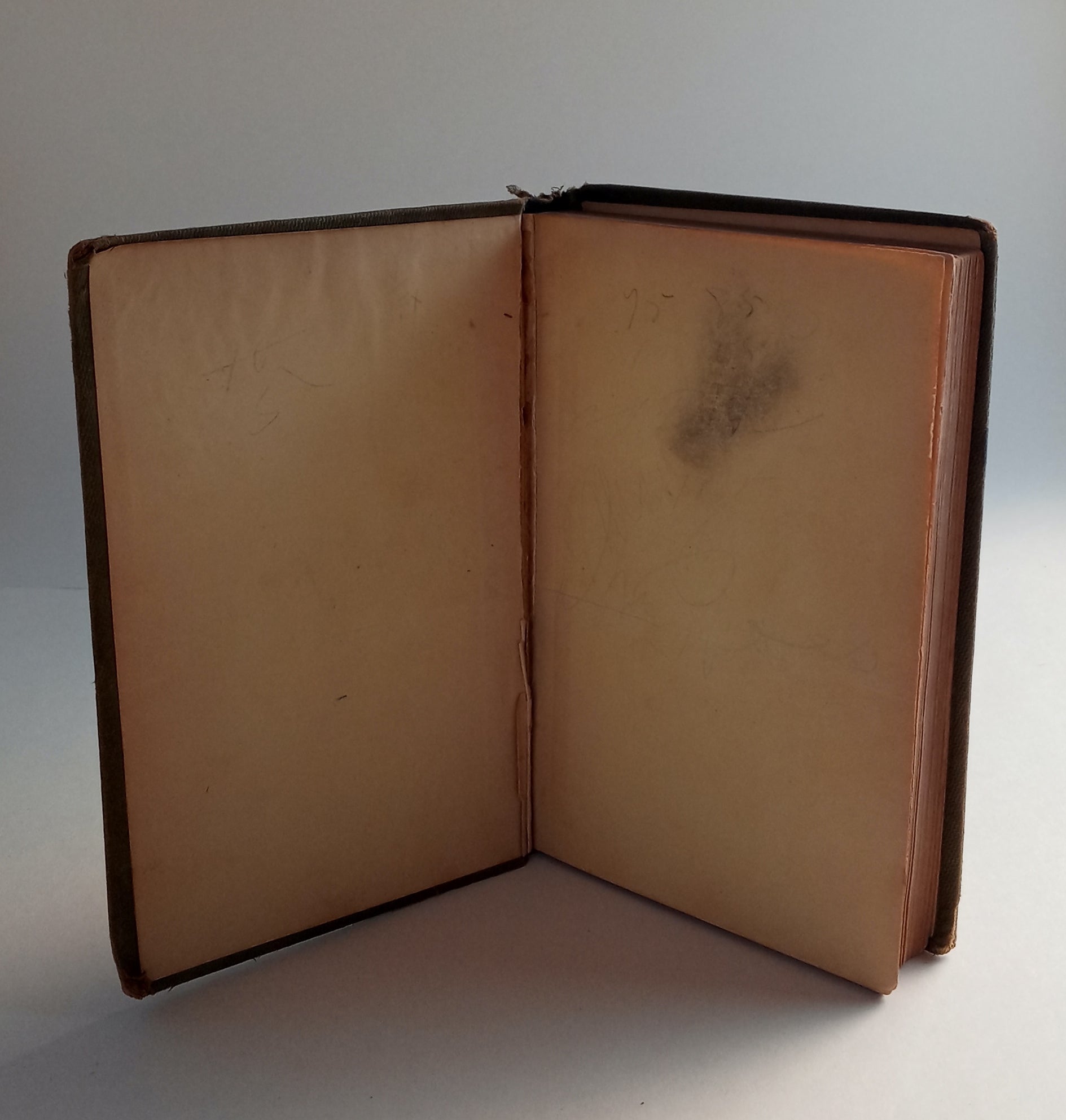 Wolfert's Roost and other papers, now first collected book cover