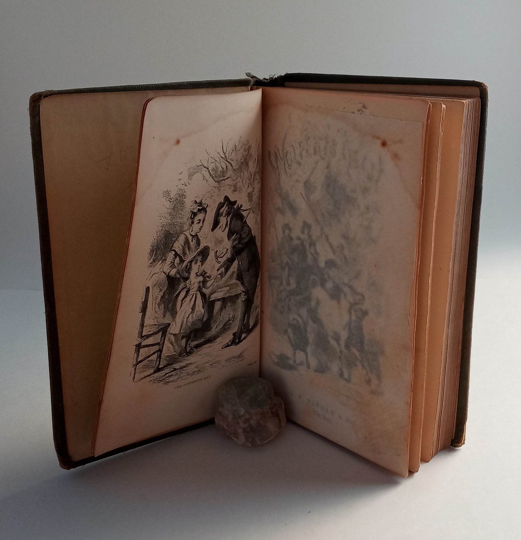 Wolfert's Roost and other papers, now first collected book cover