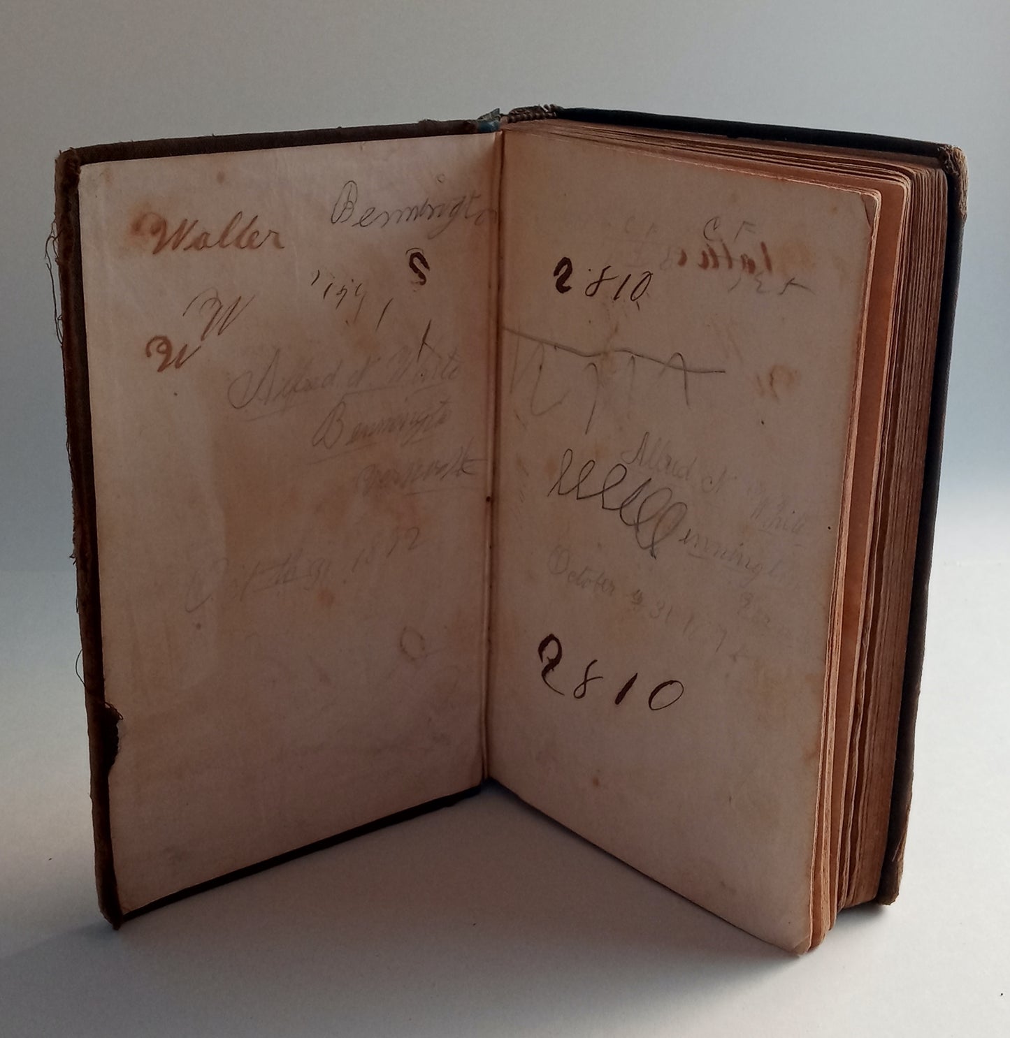 The Progressive Fourth Reader, for Public and Private Schools; containing the essential principles of elocution, illustrated by examples and exercises in connection with the tables and rules, and by a series of practical lessons in reading. book cover