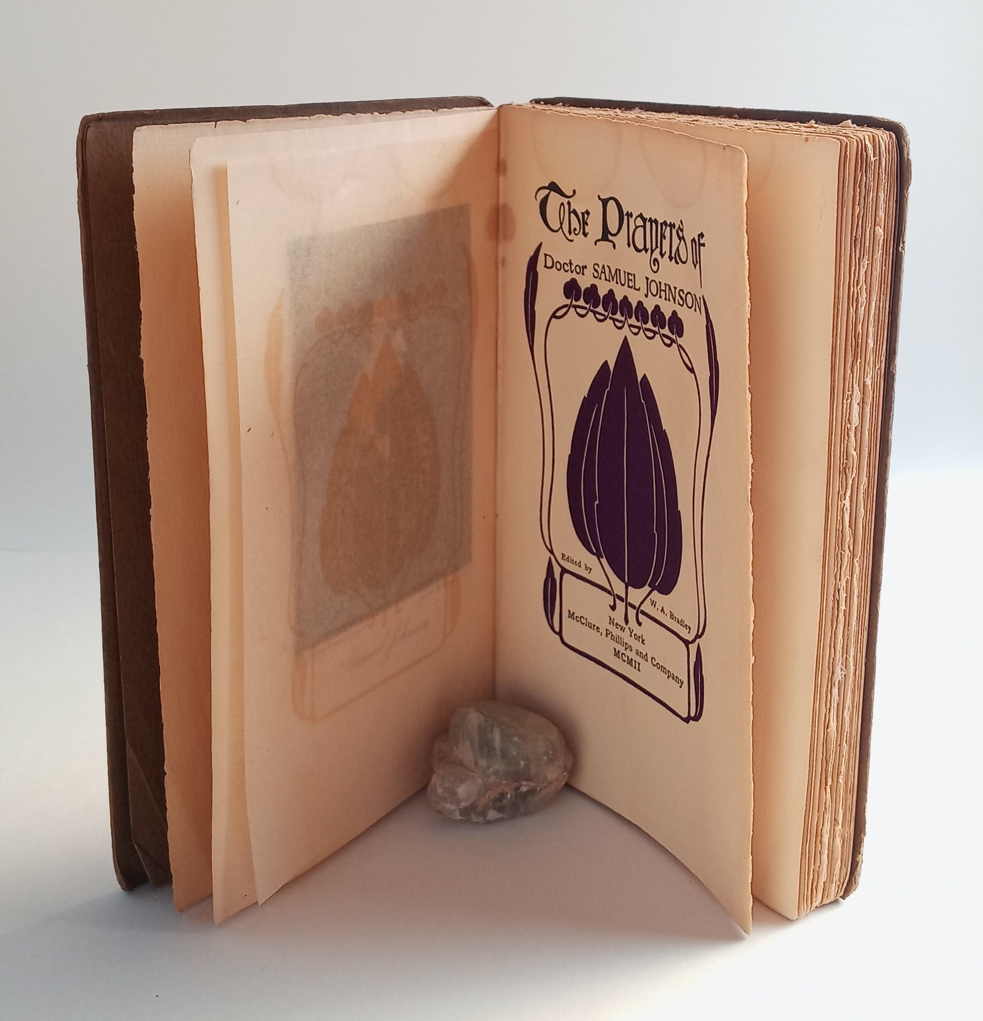 The Prayers of Doctor Samuel Johnson book cover