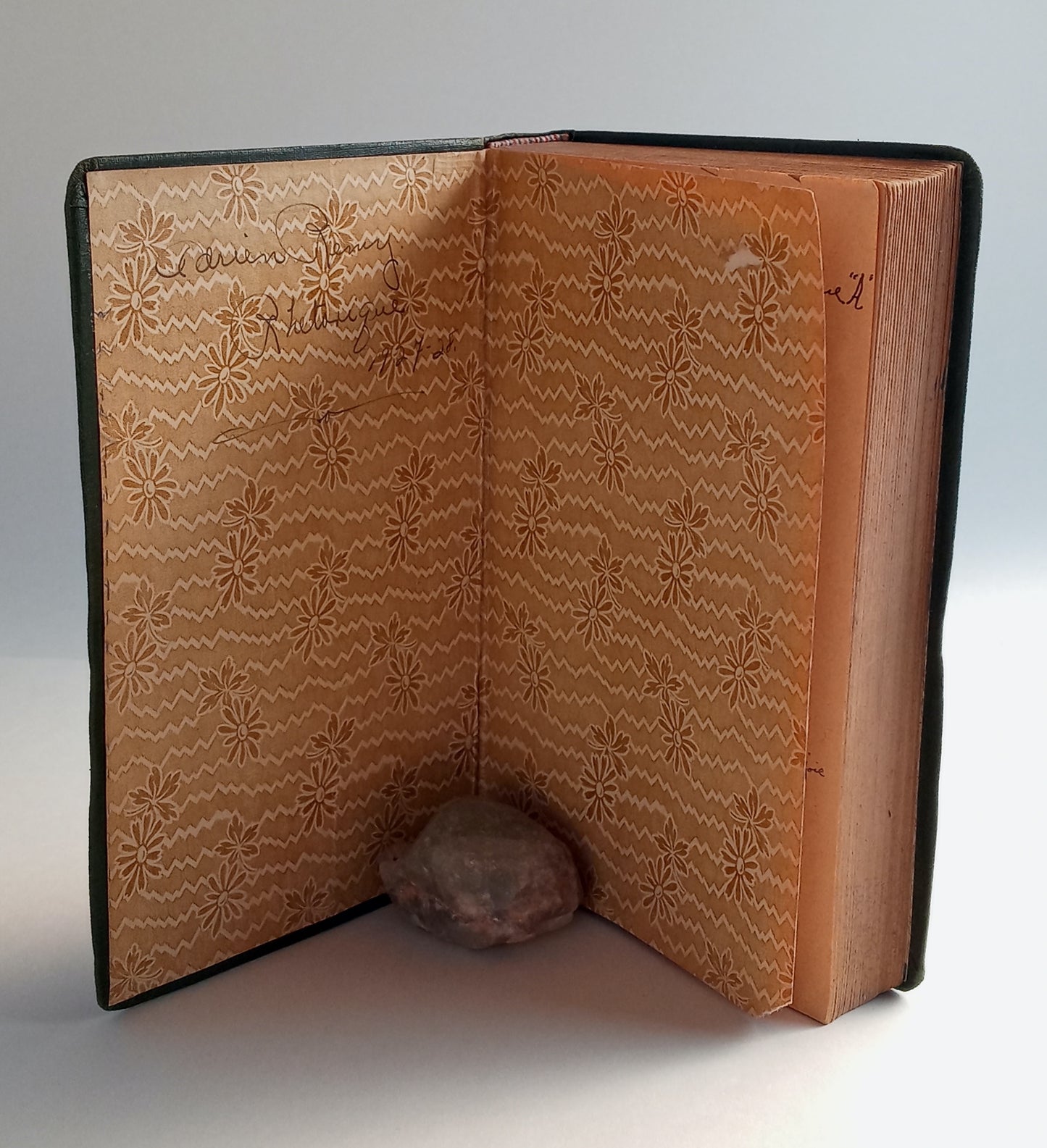 Tacite: Oevres Choises. Avec Bibliographie, Etudes historiques et littéraires, Notes Grammaire et Illustrations documentaires. book cover
