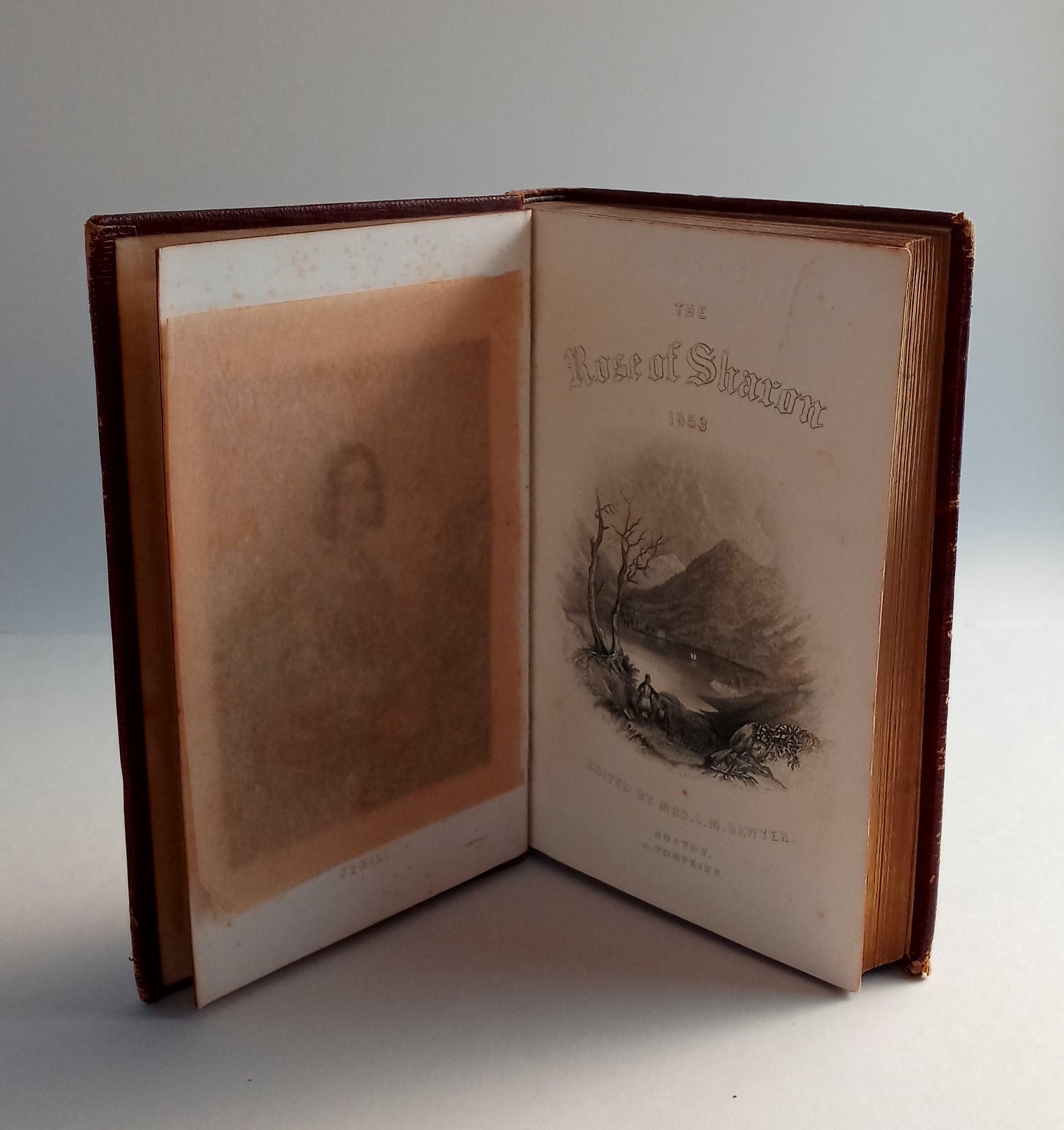 The Rose of Sharon: A Religious Souvenier for MDCCCLIII book cover